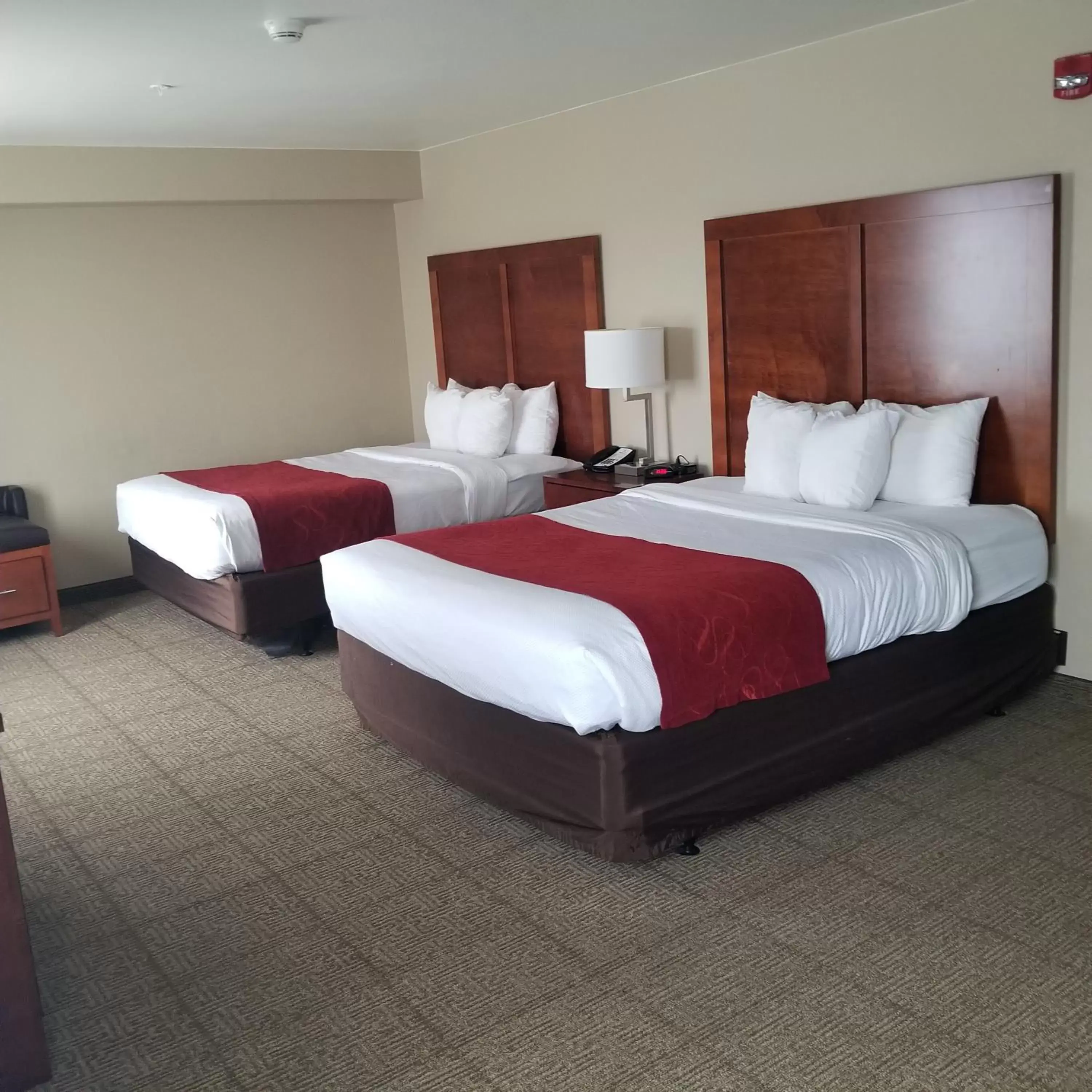 Bed in Comfort Suites Redding - Shasta Lake