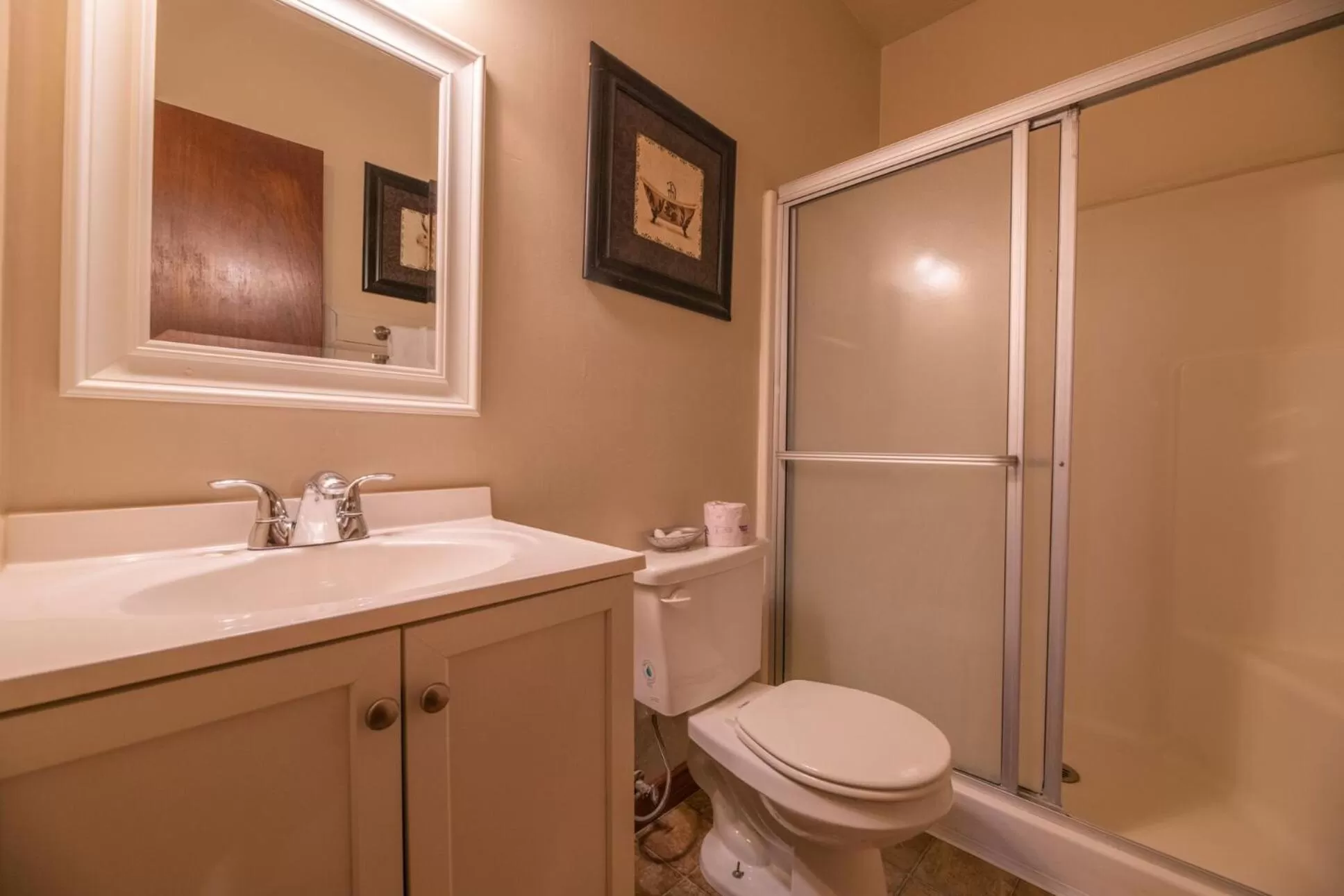 Bathroom in Black Forest Lodge