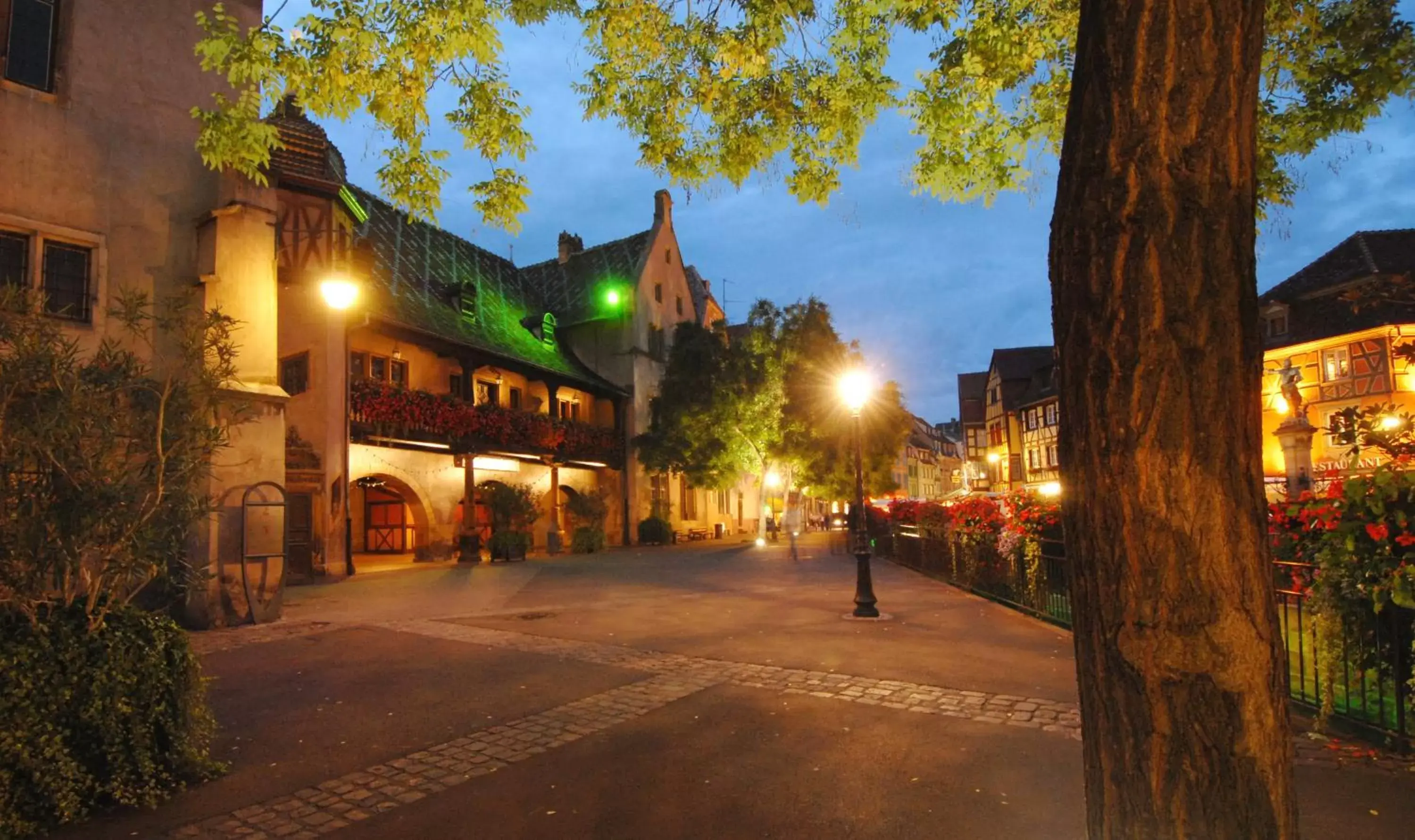 Nearby landmark, Property Building in Novotel Suites Colmar Centre