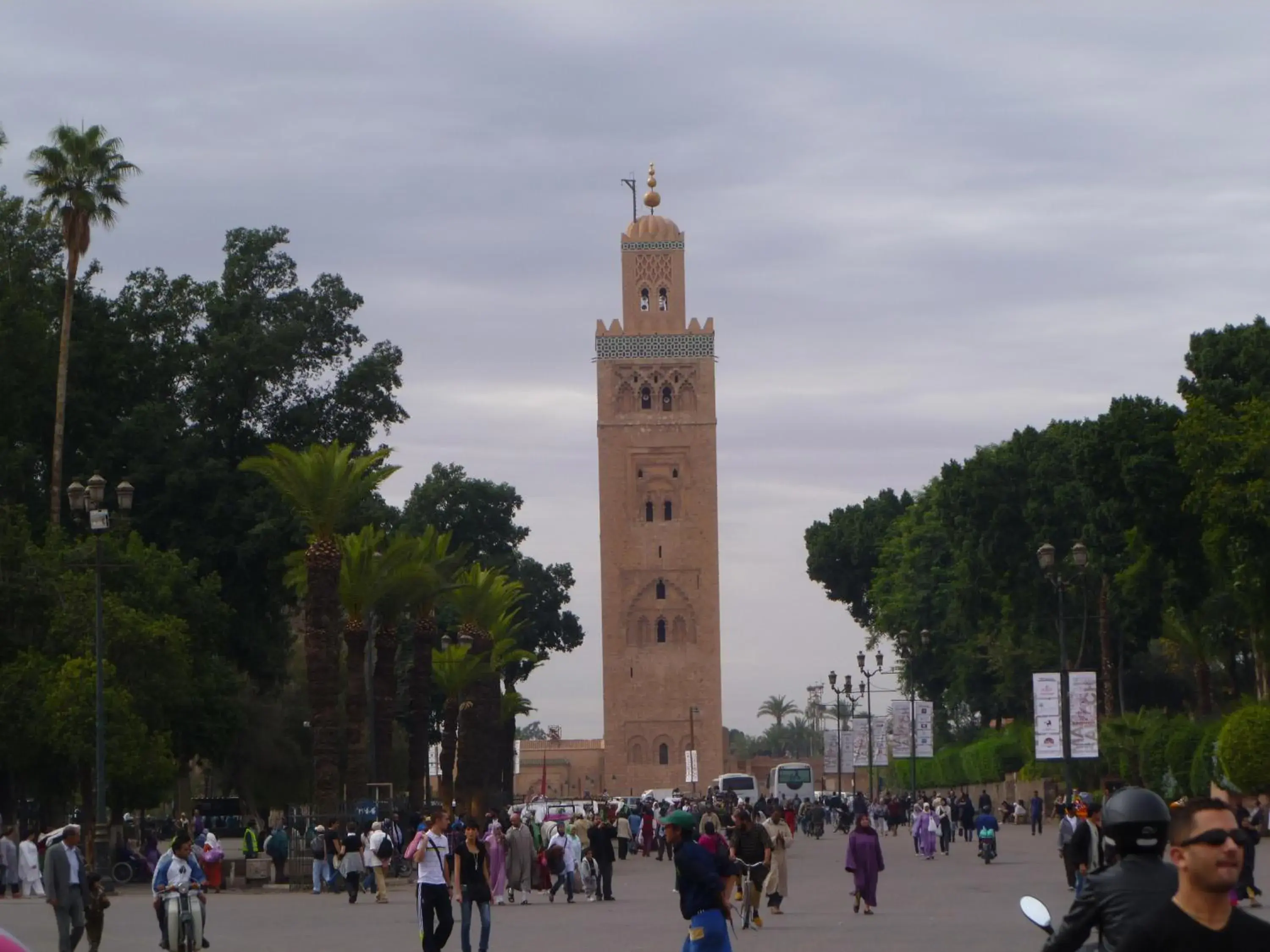 Area and facilities in Riad Les Trois Palmiers El Bacha