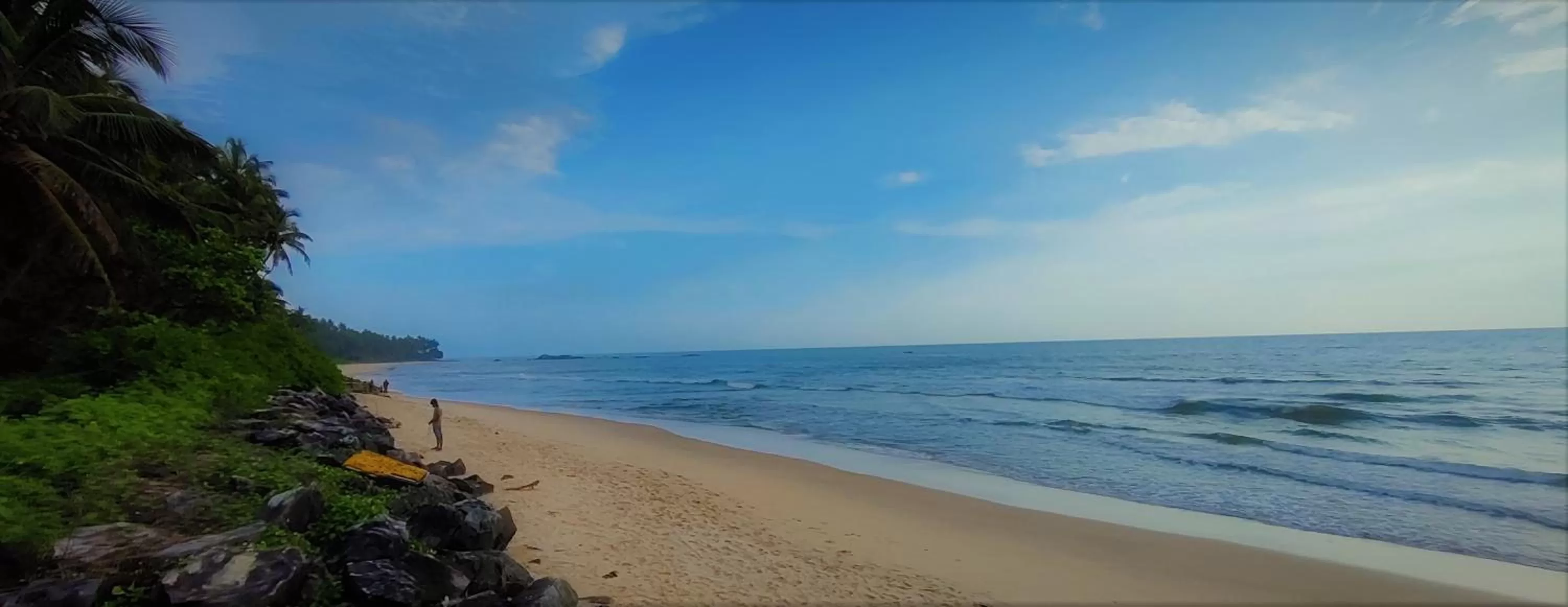 Beach in White Shell