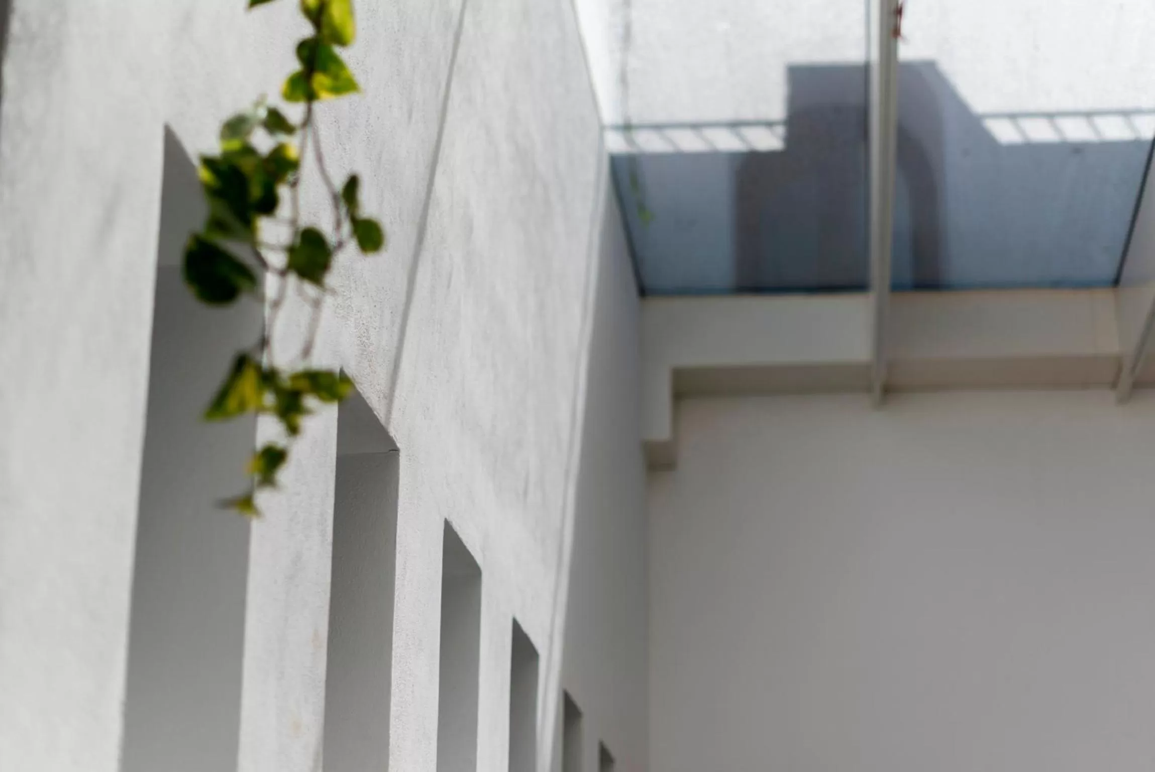 Patio in Soho Boutique Capuchinos & Spa