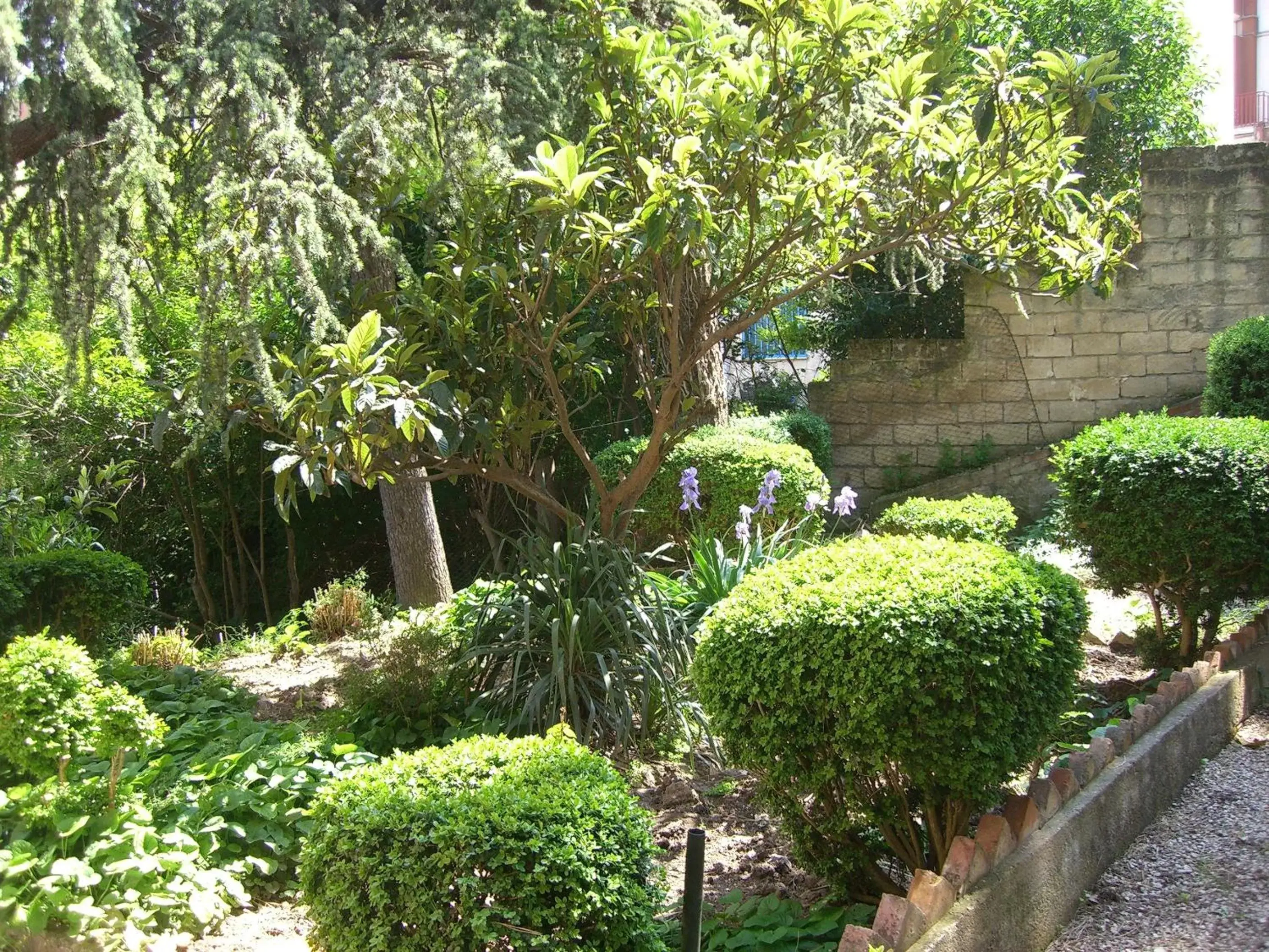 Garden in Villa Genny