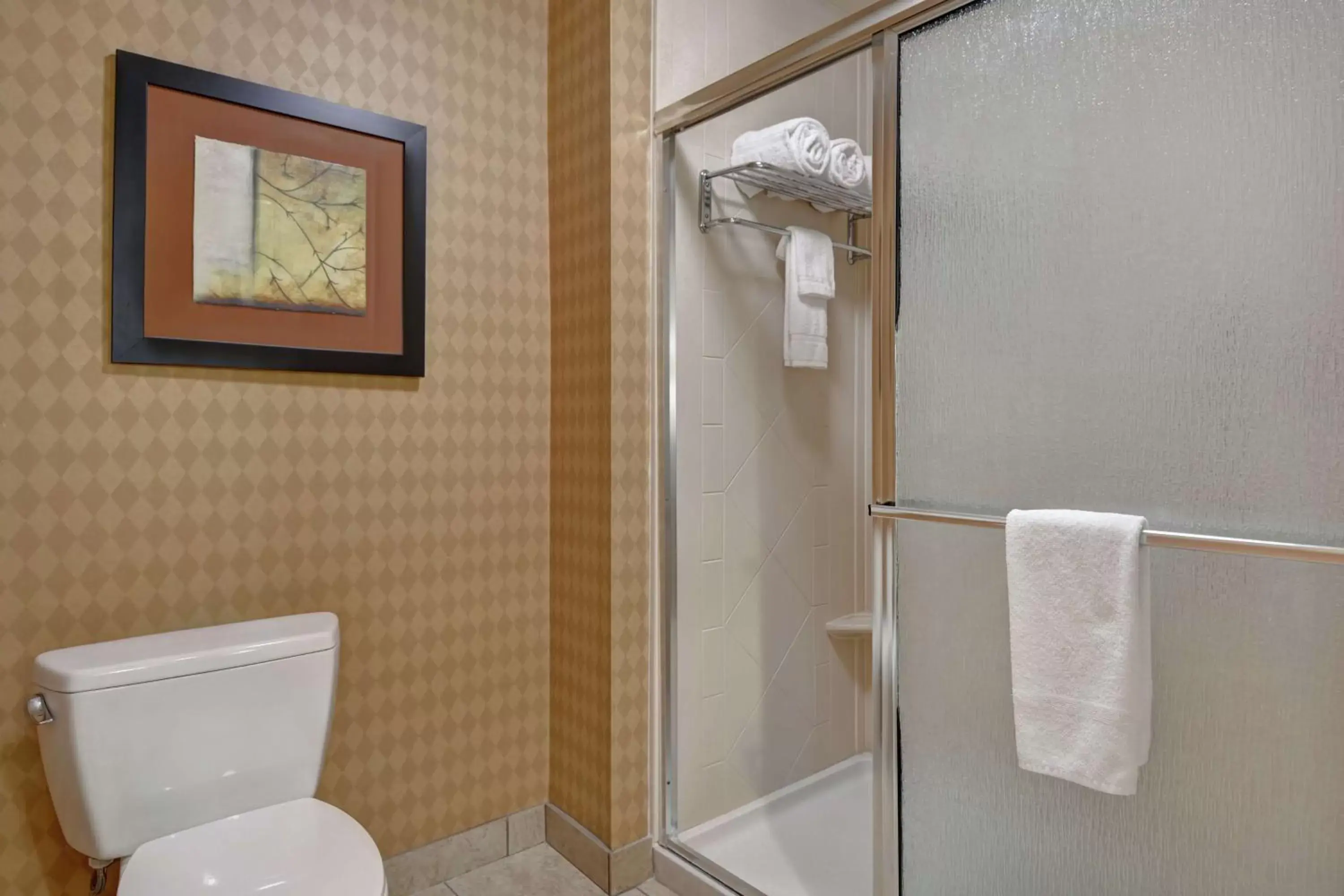 Bathroom in Homewood Suites by Hilton Fayetteville