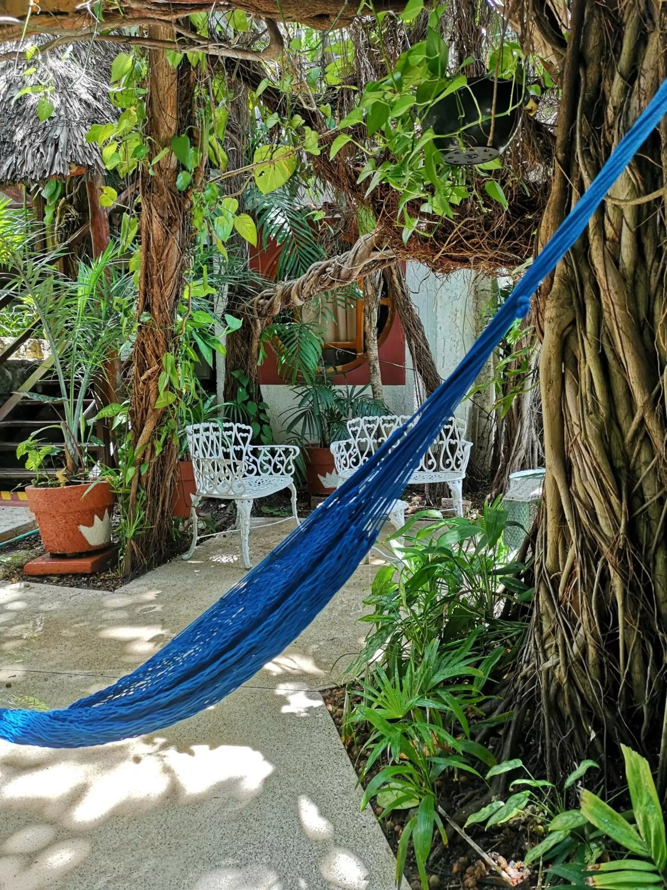 Inner courtyard view in Eco-hotel El Rey del Caribe