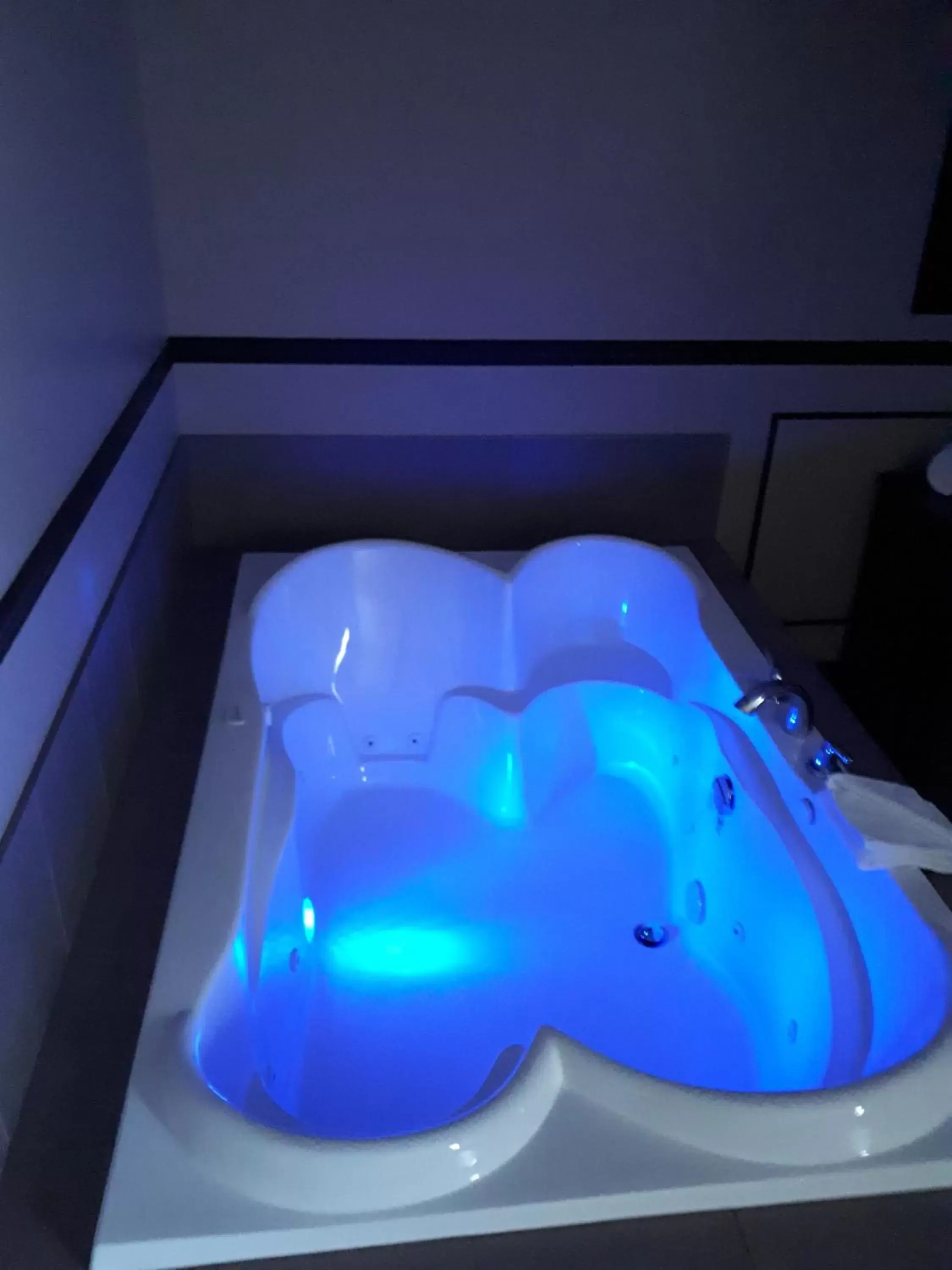 Hot Tub, Bathroom in Hôtel Napoléon