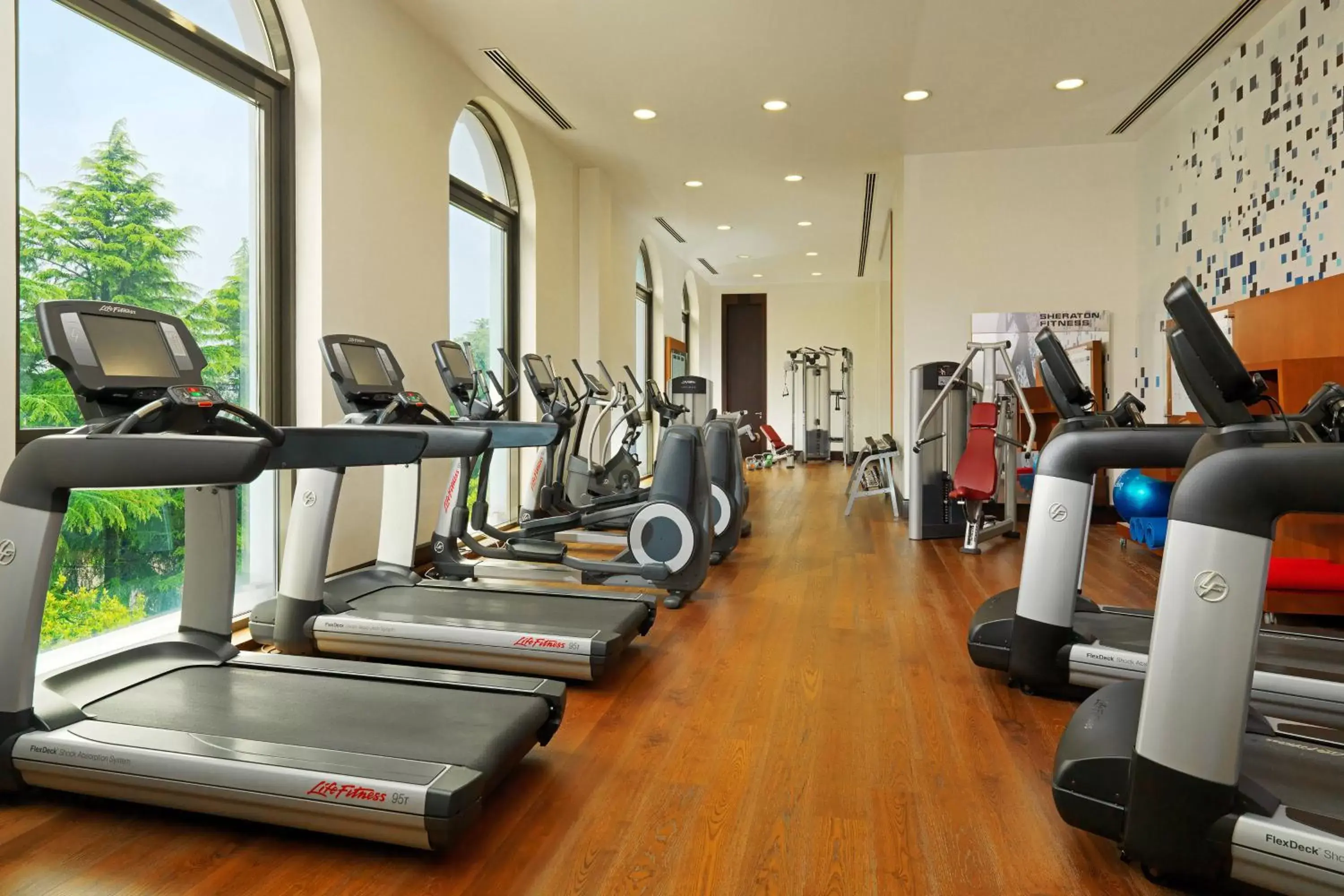 Fitness centre/facilities, Fitness Center/Facilities in Sheraton Batumi Hotel