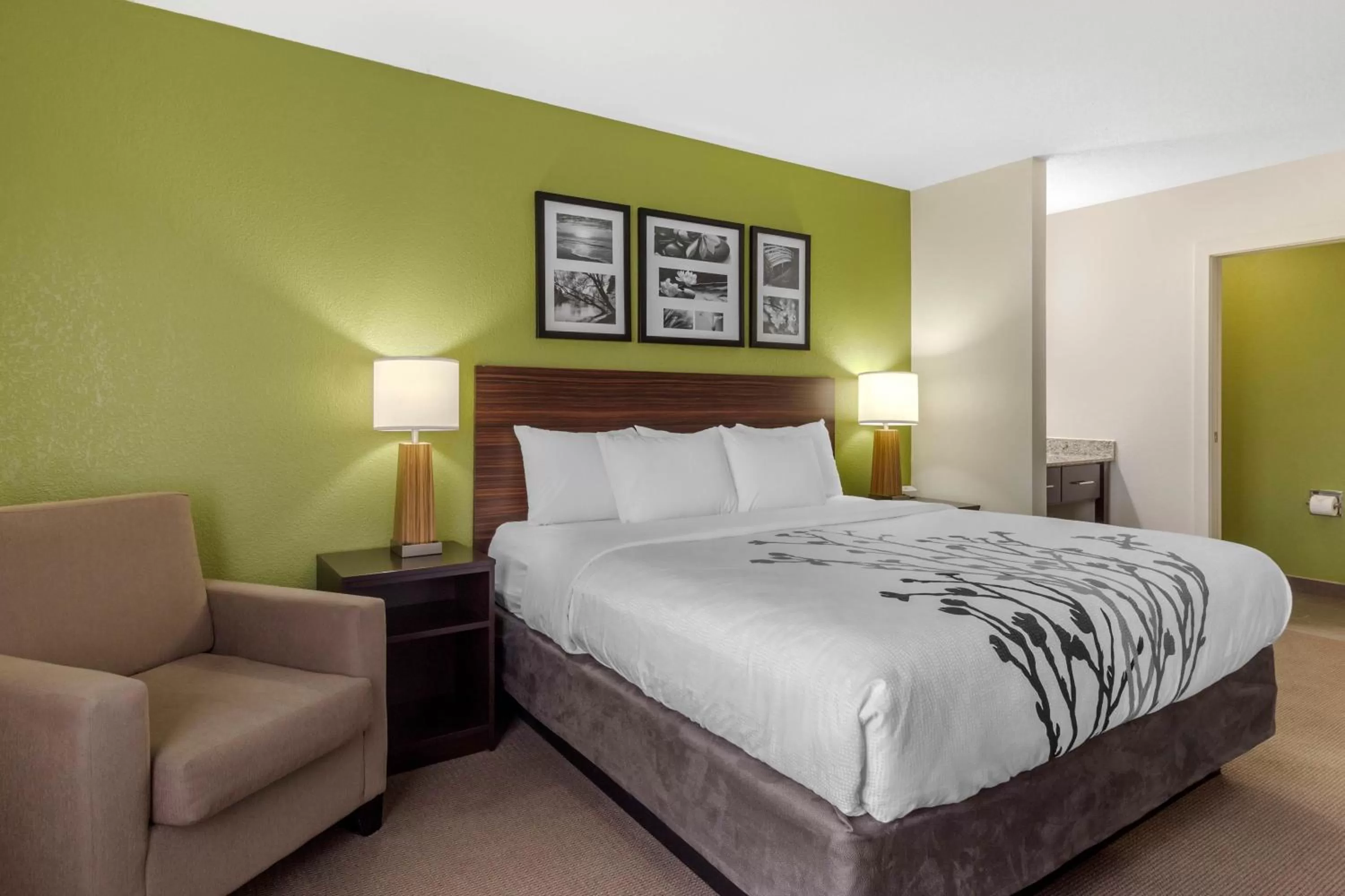 King Room - Non-Smoking in Sleep Inn & Suites Allendale