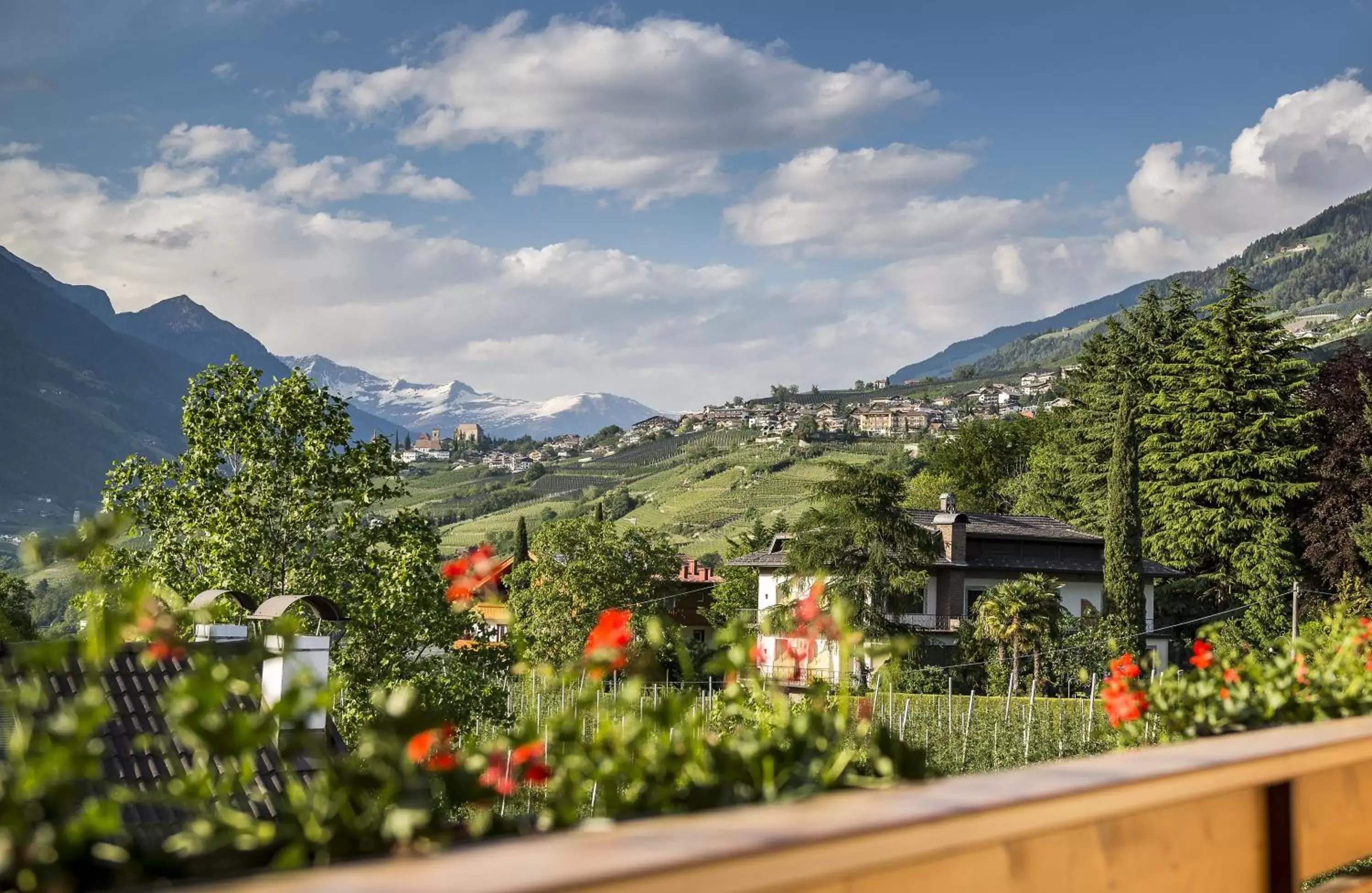 Balcony/Terrace, Mountain View in Hotel Sonnenburg