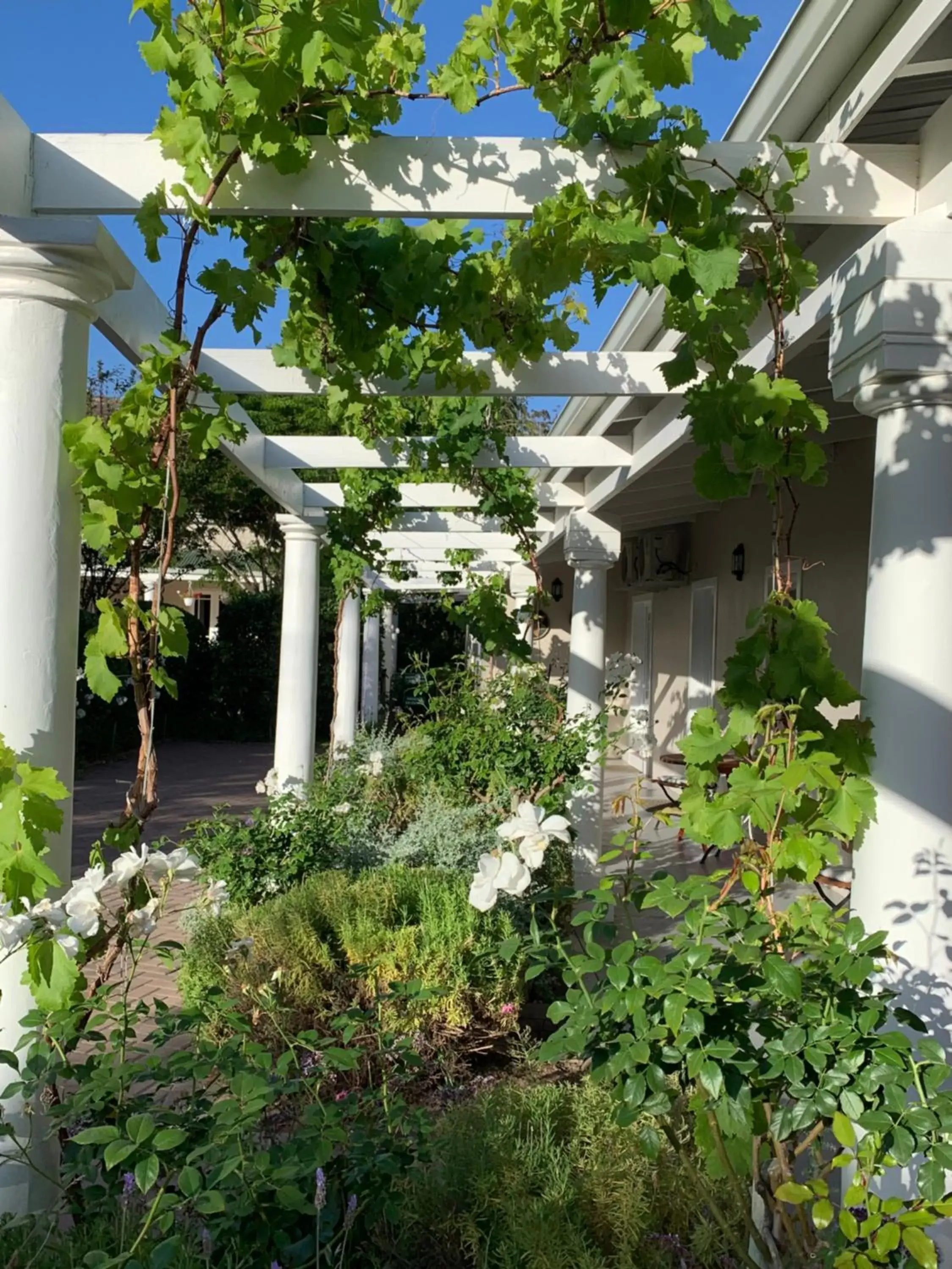 Property building in Montagu Vines Guesthouse Property building in Montagu Vines Guesthouse