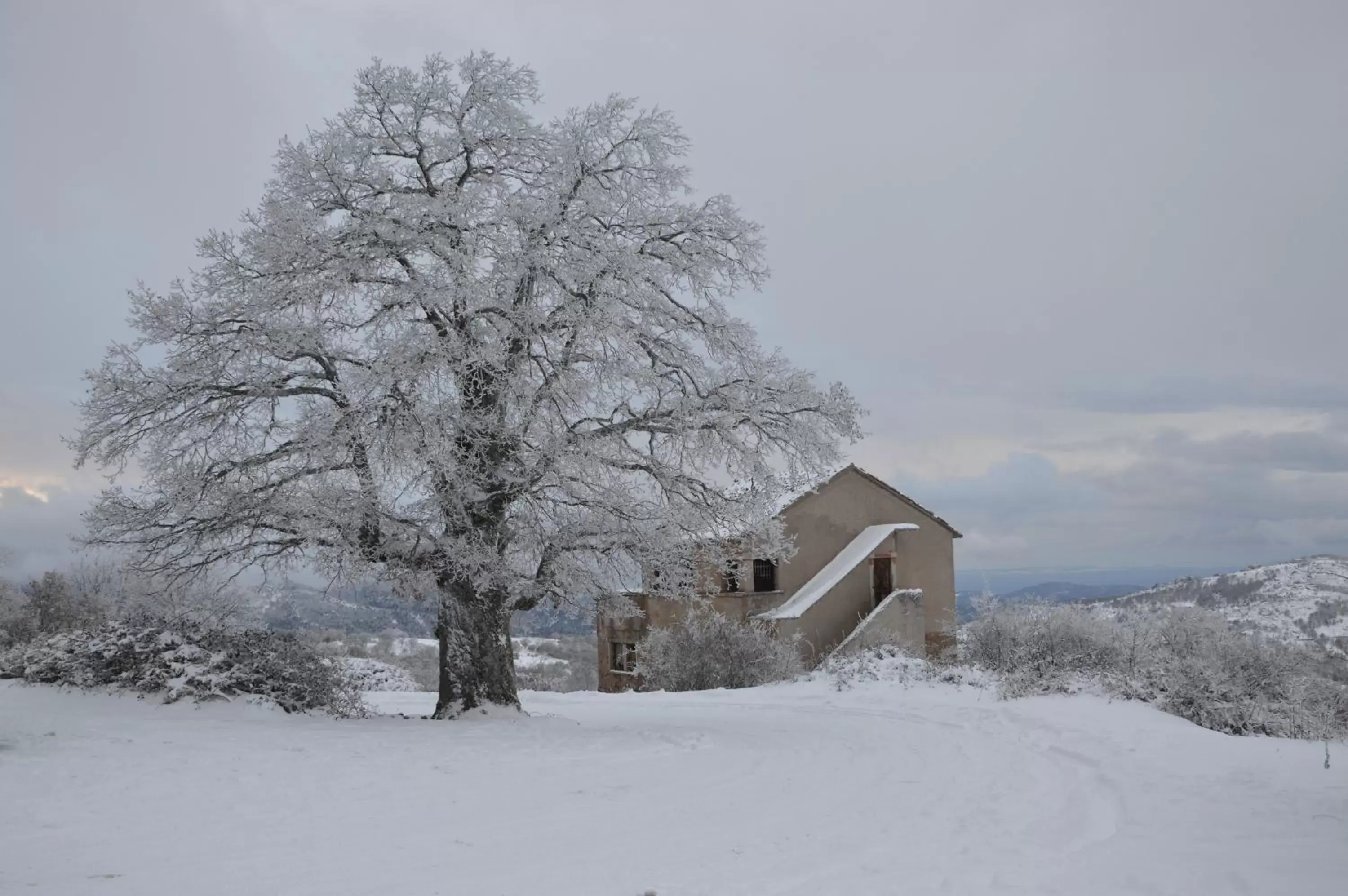 Day, Winter in B&B La Genziana