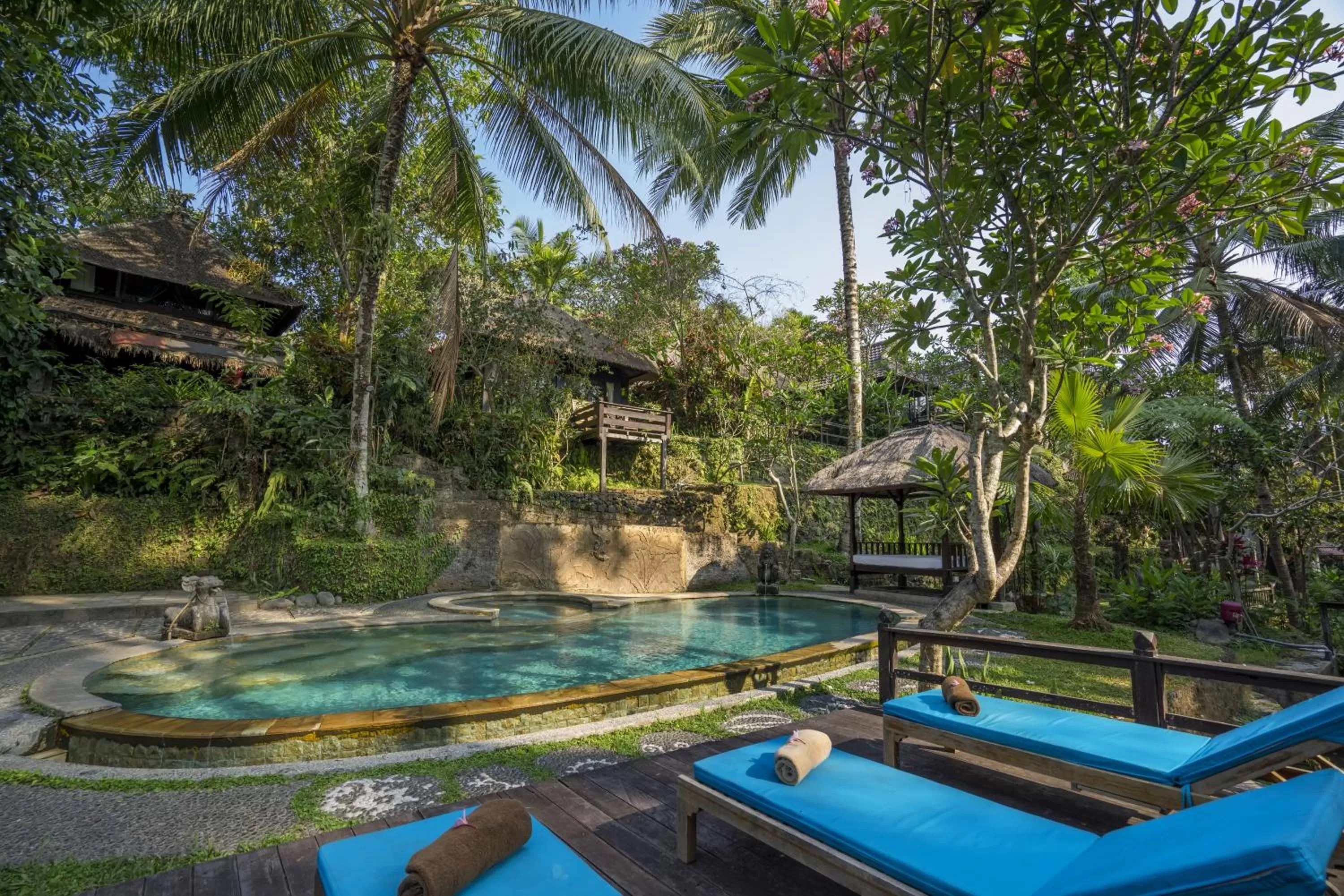 Day in Ubud Sari Health Resort