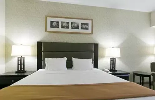 Bed in Holiday Inn Express Hotel & Suites Ottawa Airport, an IHG Hotel