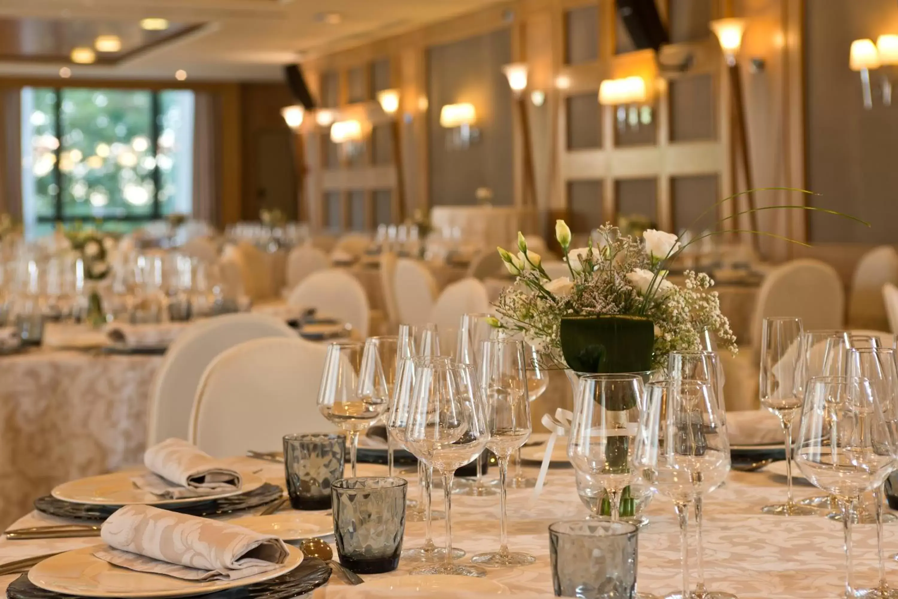 Banquet/Function facilities, Banquet Facilities in Hotel Sevilla Center