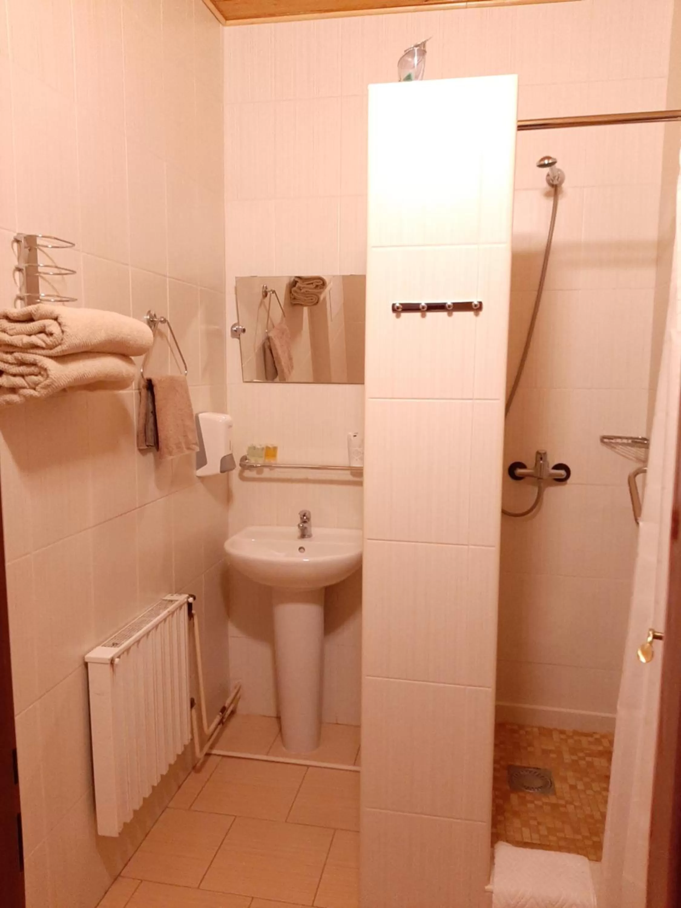 Bathroom in garni Hotel ASAS***