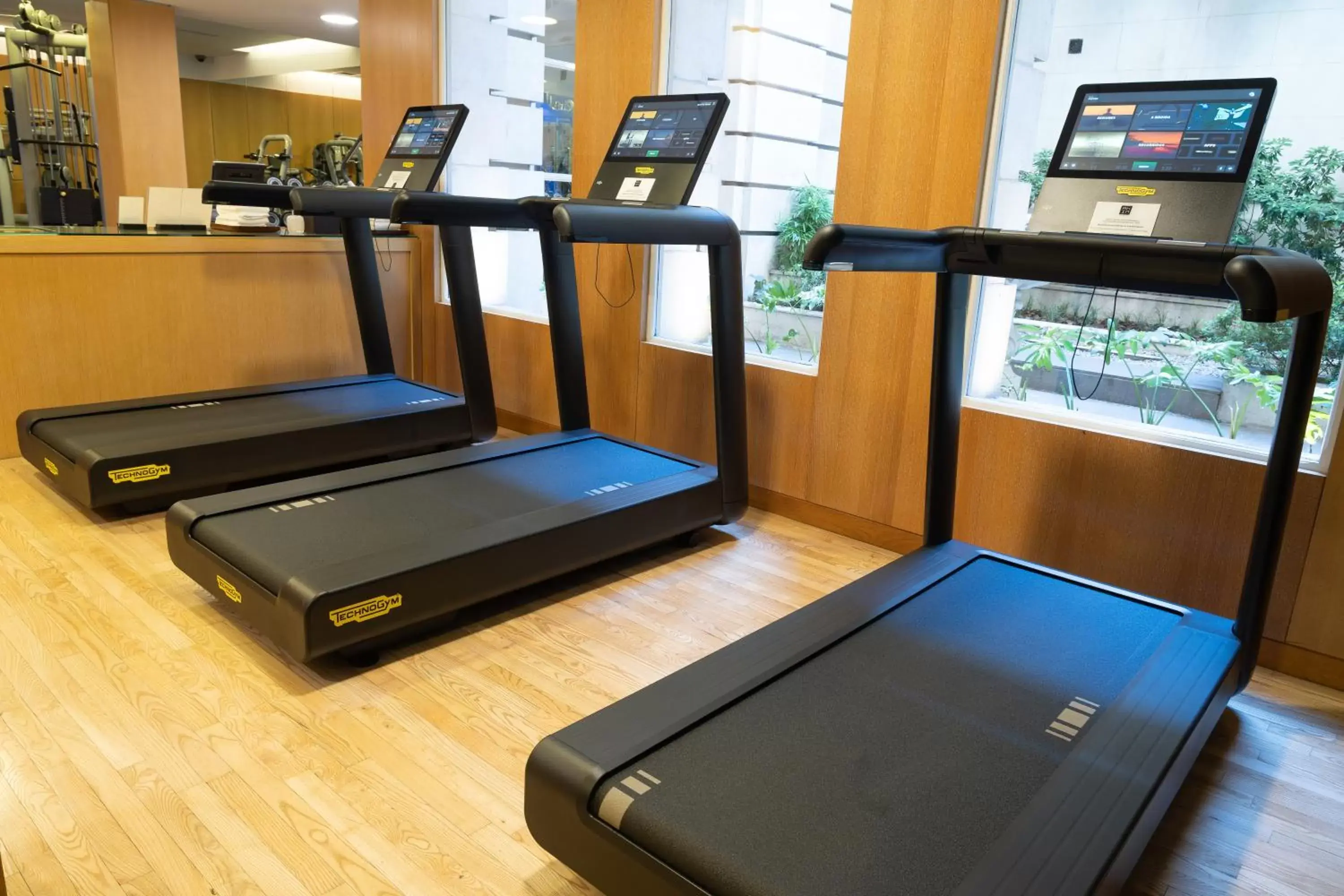 Fitness centre/facilities, Fitness Center/Facilities in Palacio Duhau - Park Hyatt Buenos Aires