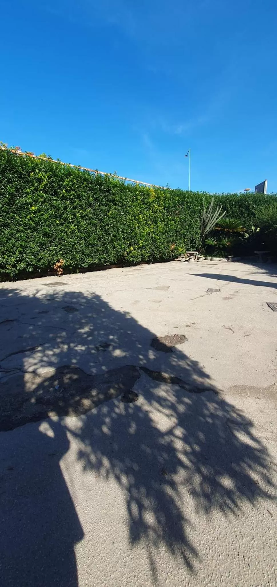 Parking in Hotel Daytona Palace