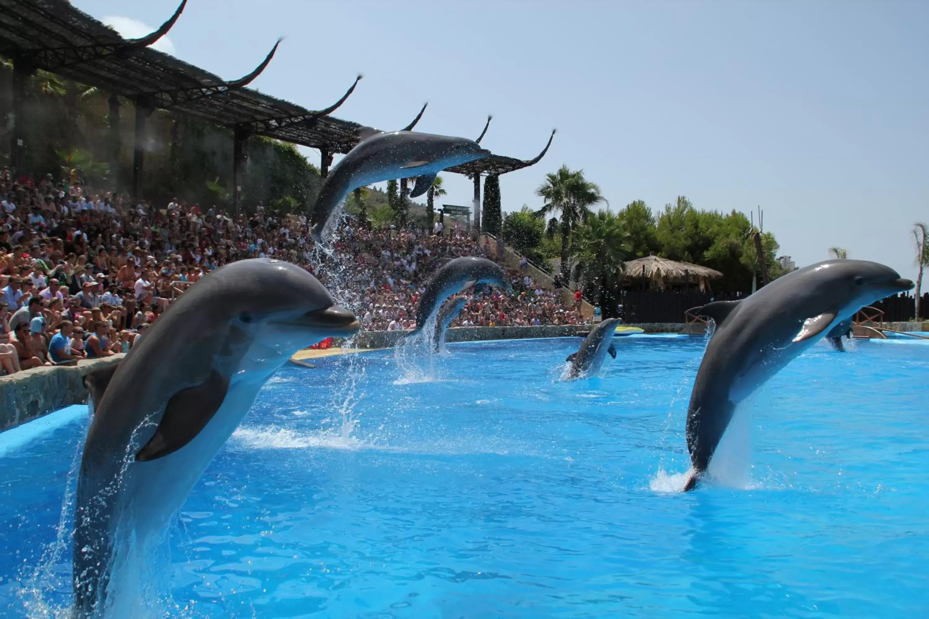 Animals, Water Park in Grand Luxor Hotel