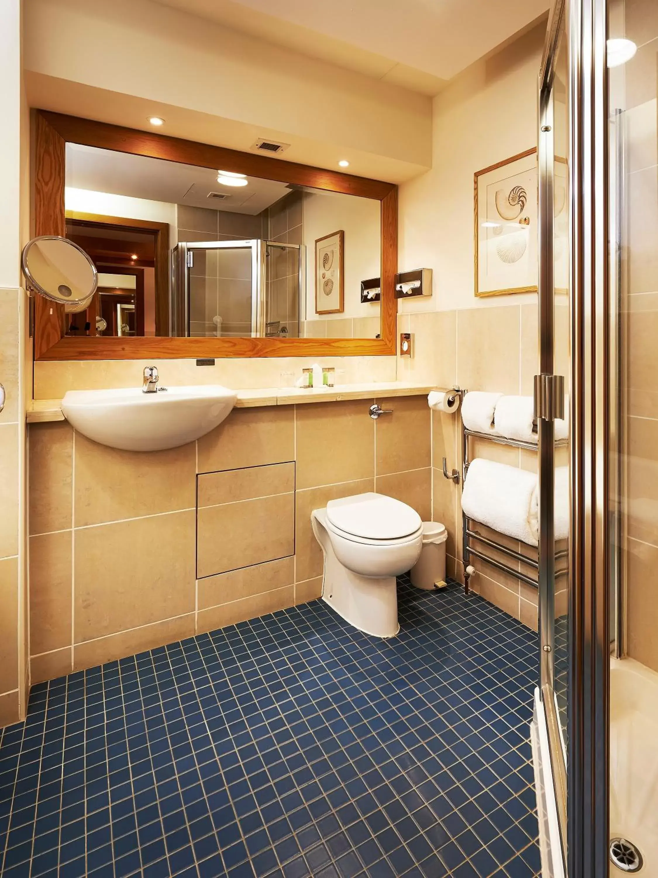 Bathroom in Ballymascanlon Hotel and Golf Resort
