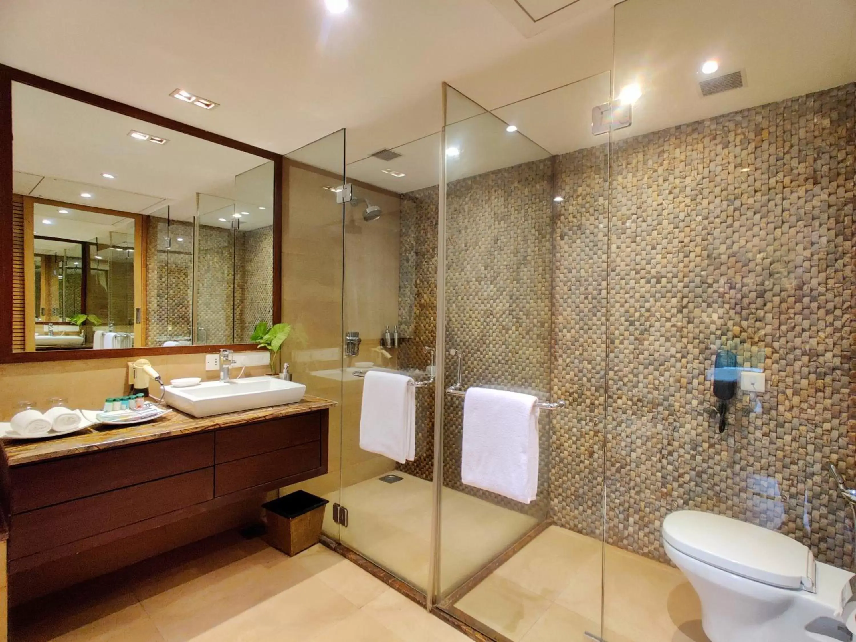 Bathroom in Fariyas Resort Lonavala
