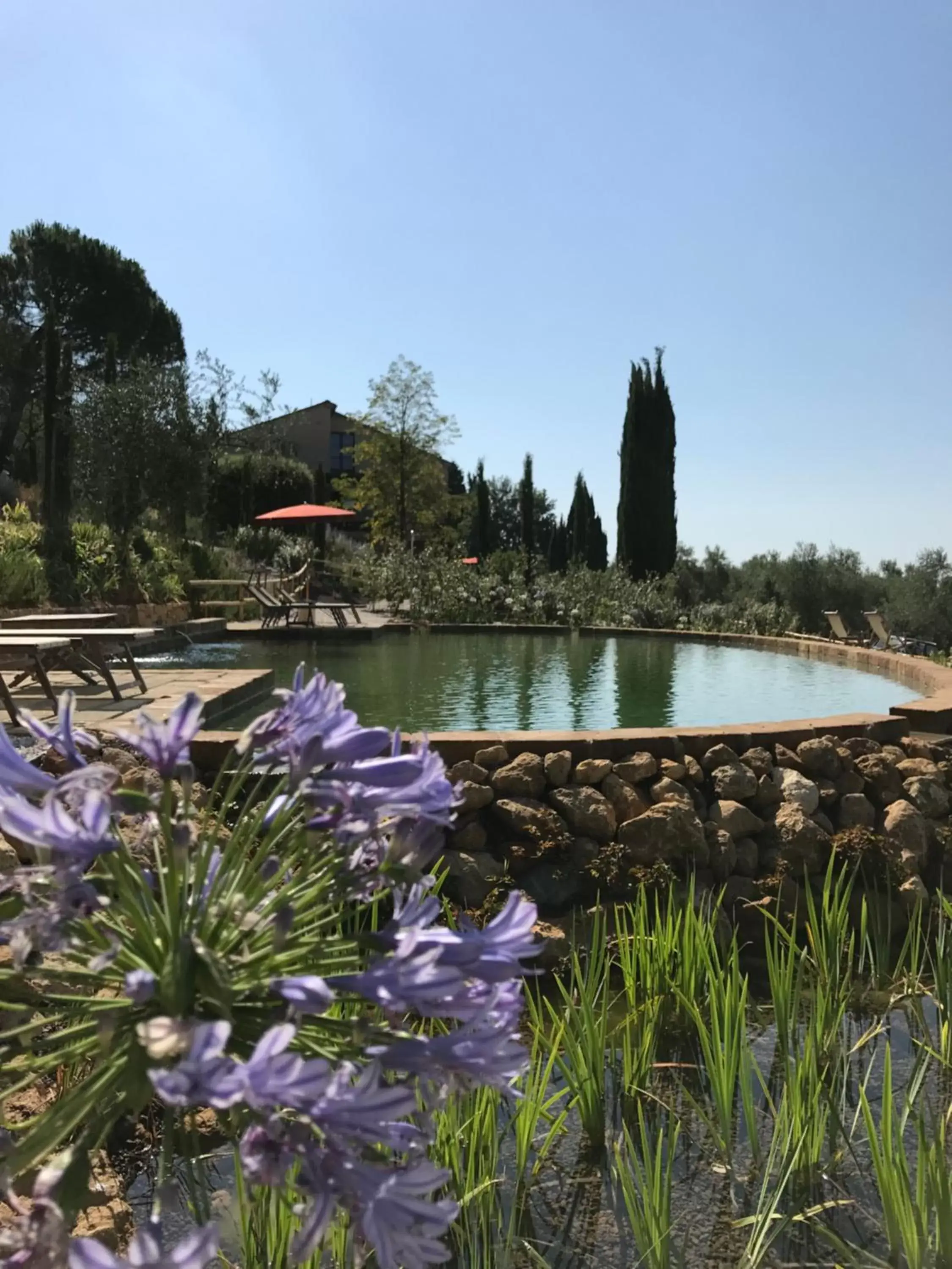 Garden in A440 in Tuscany