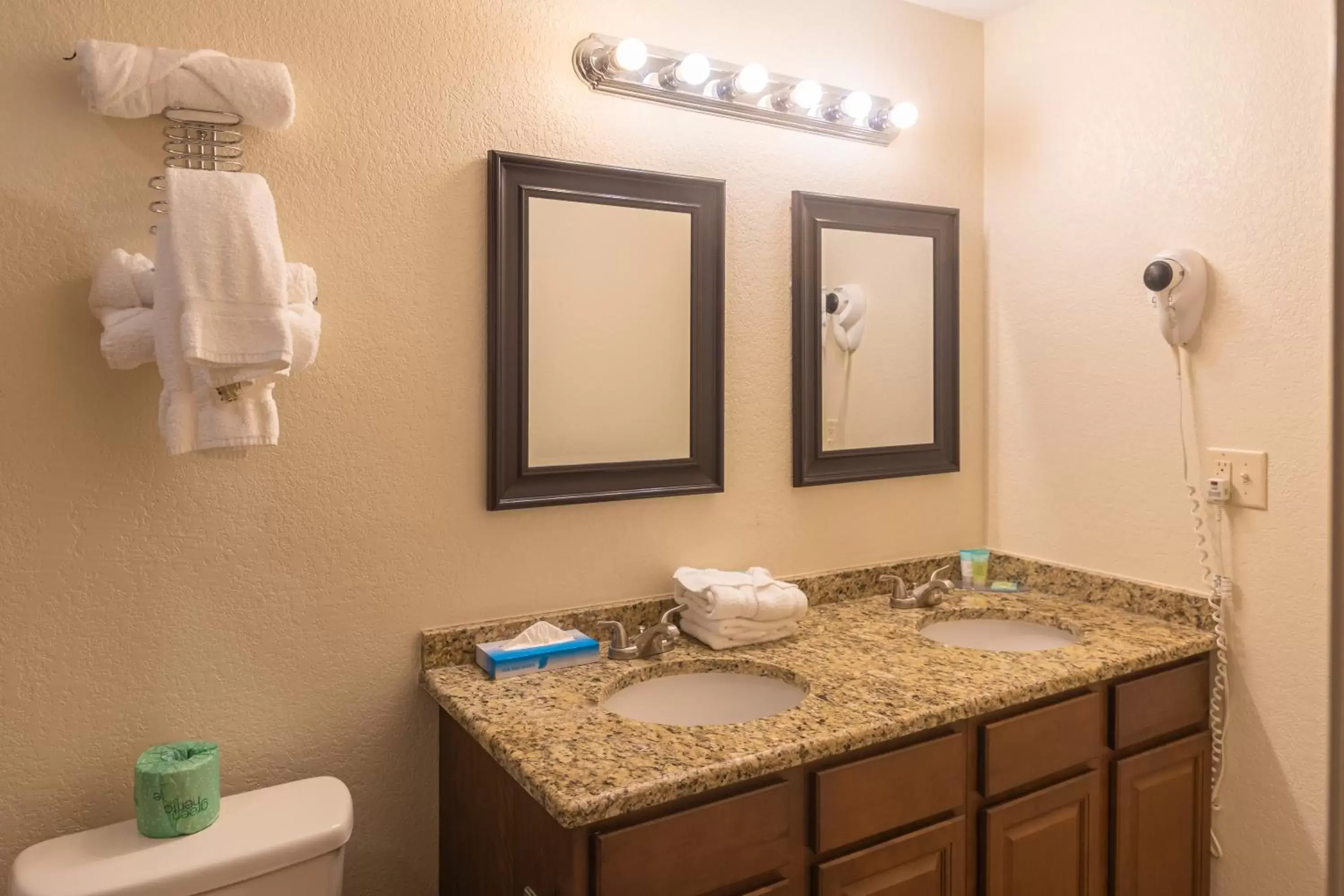 Bathroom in Cottonwood Suites Savannah Hotel & Conference Center