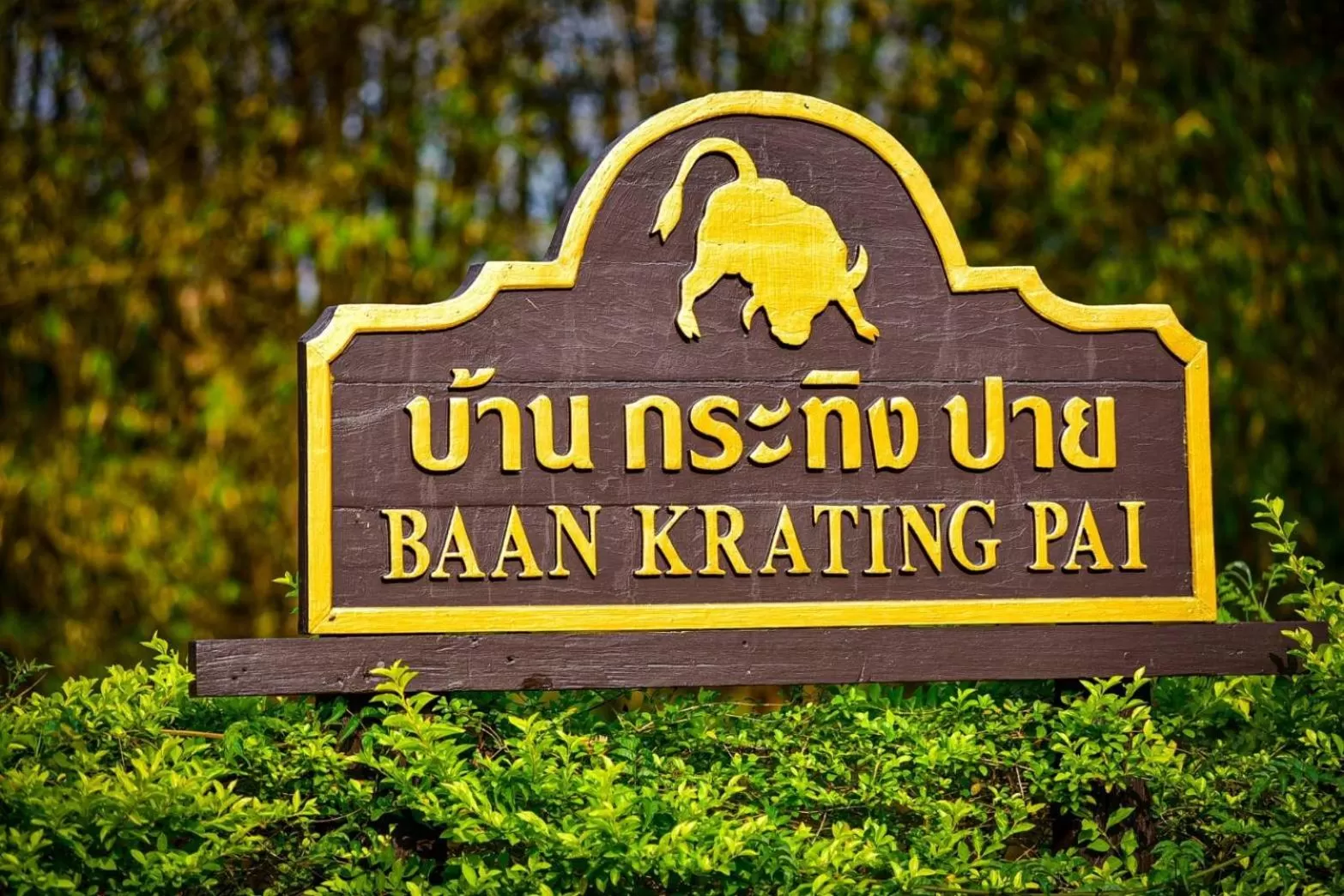 Property logo or sign in Baan Krating Pai Resort - SHA Plus