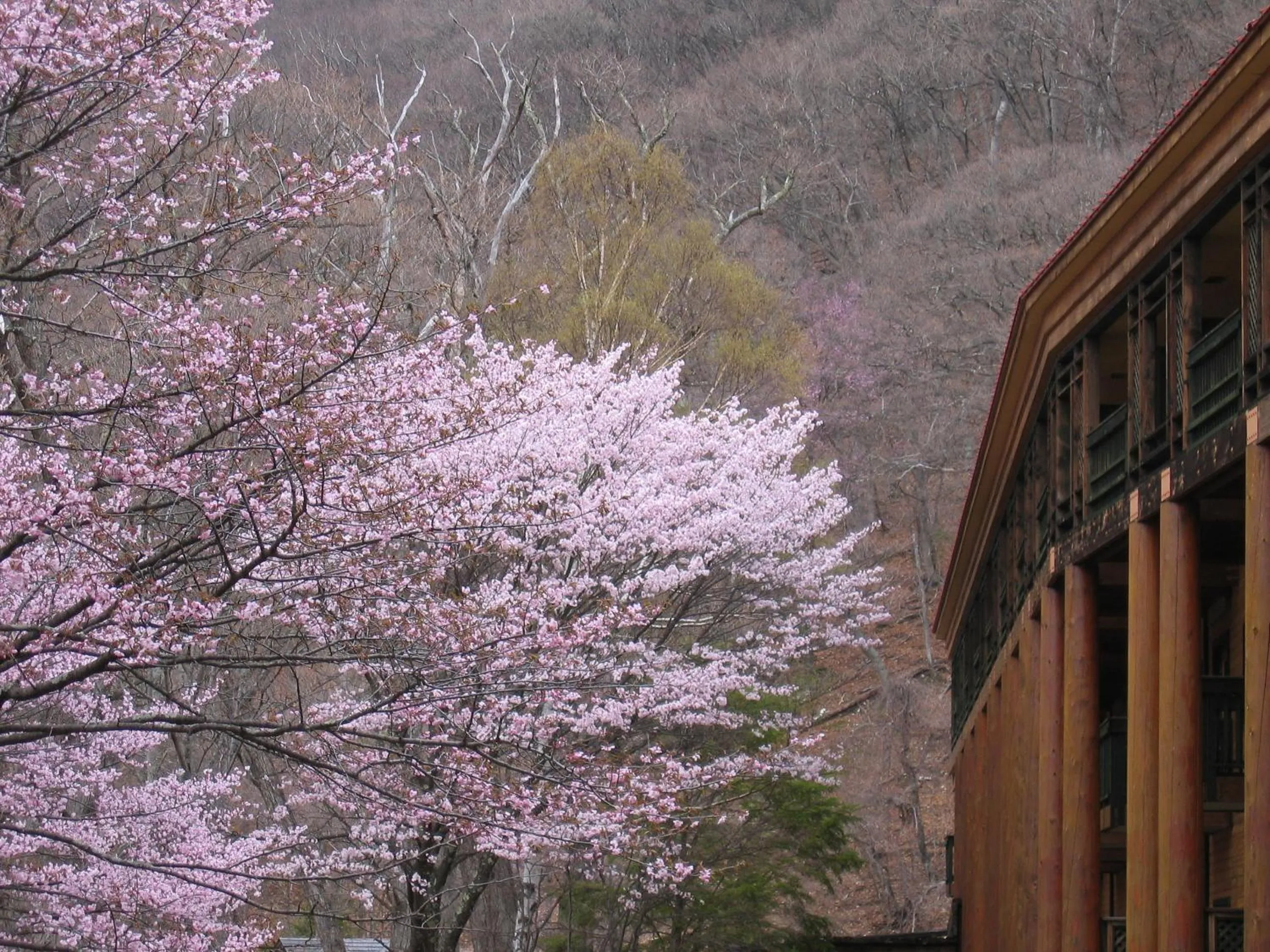 Facade/entrance in Chuzenji Kanaya Hotel