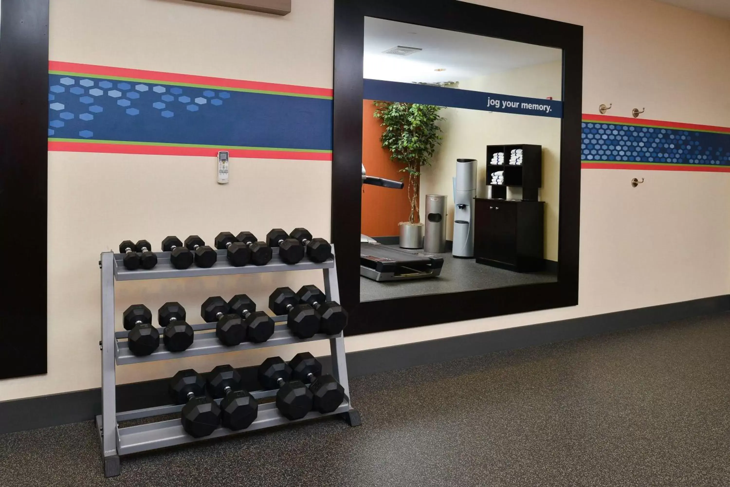 Fitness centre/facilities, Fitness Center/Facilities in Hampton Inn Yorkville