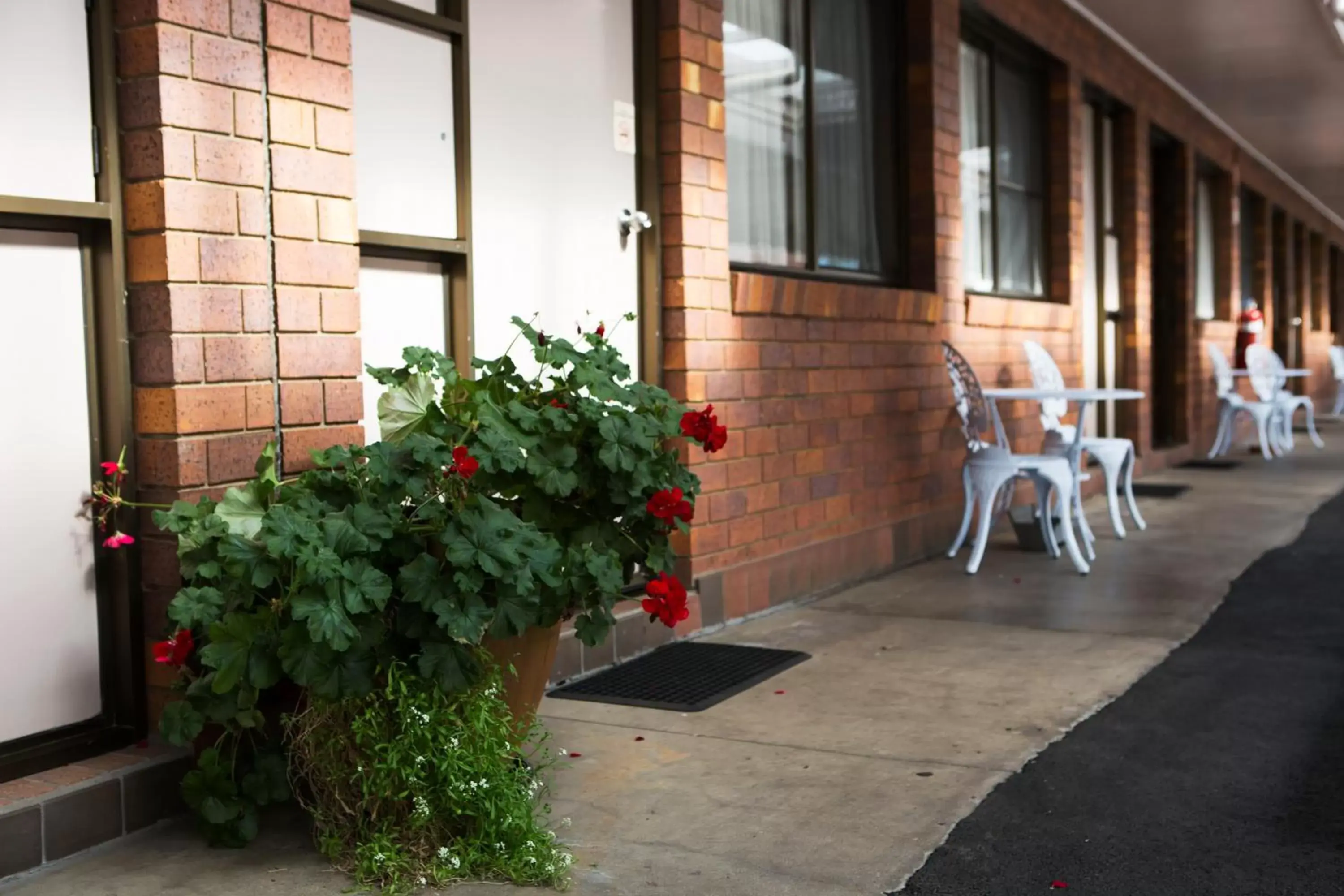 Patio in Country Pathfinder Motor Inn