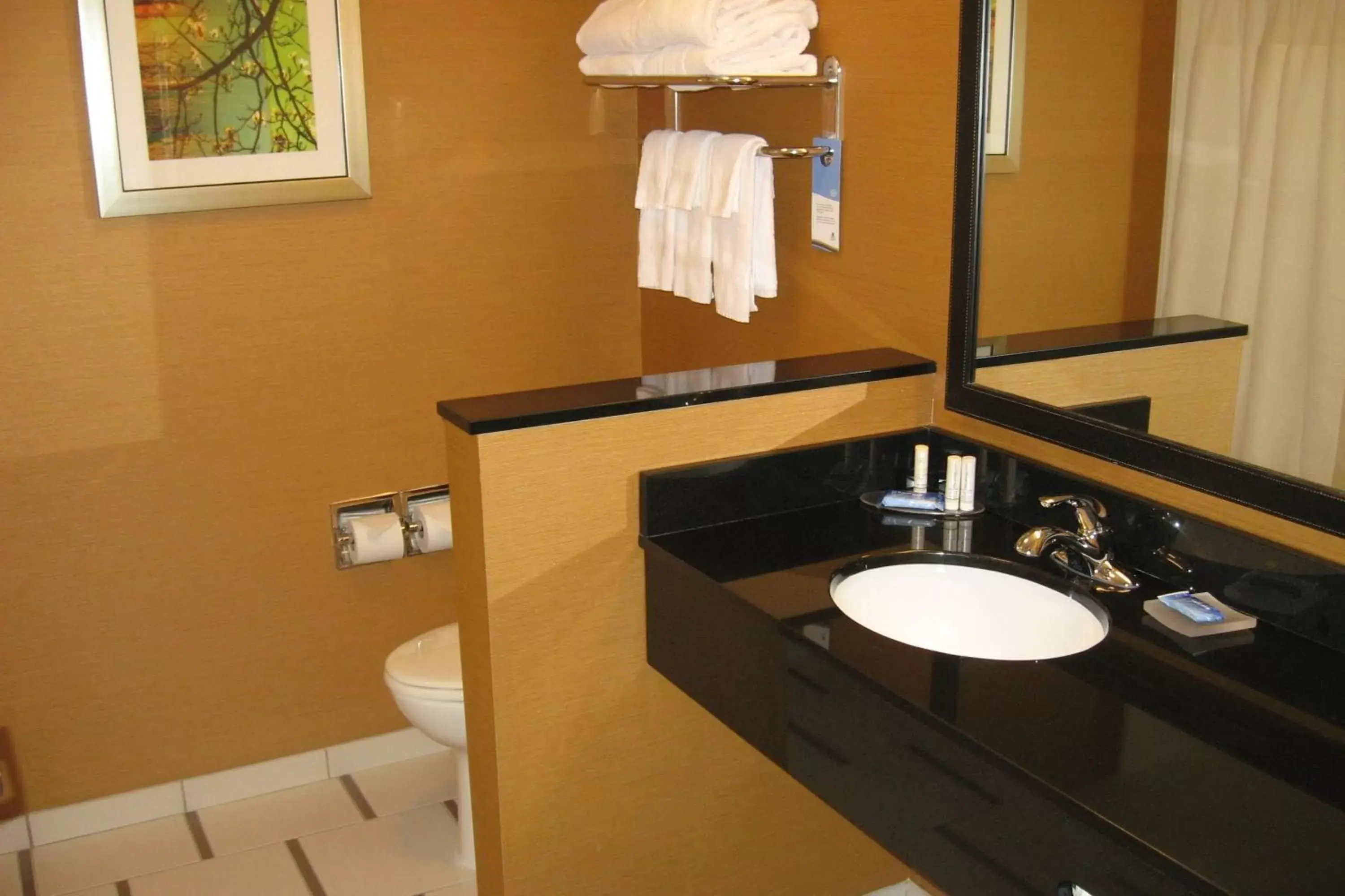 Bathroom in Fairfield Inn & Suites by Marriott Elmira Corning