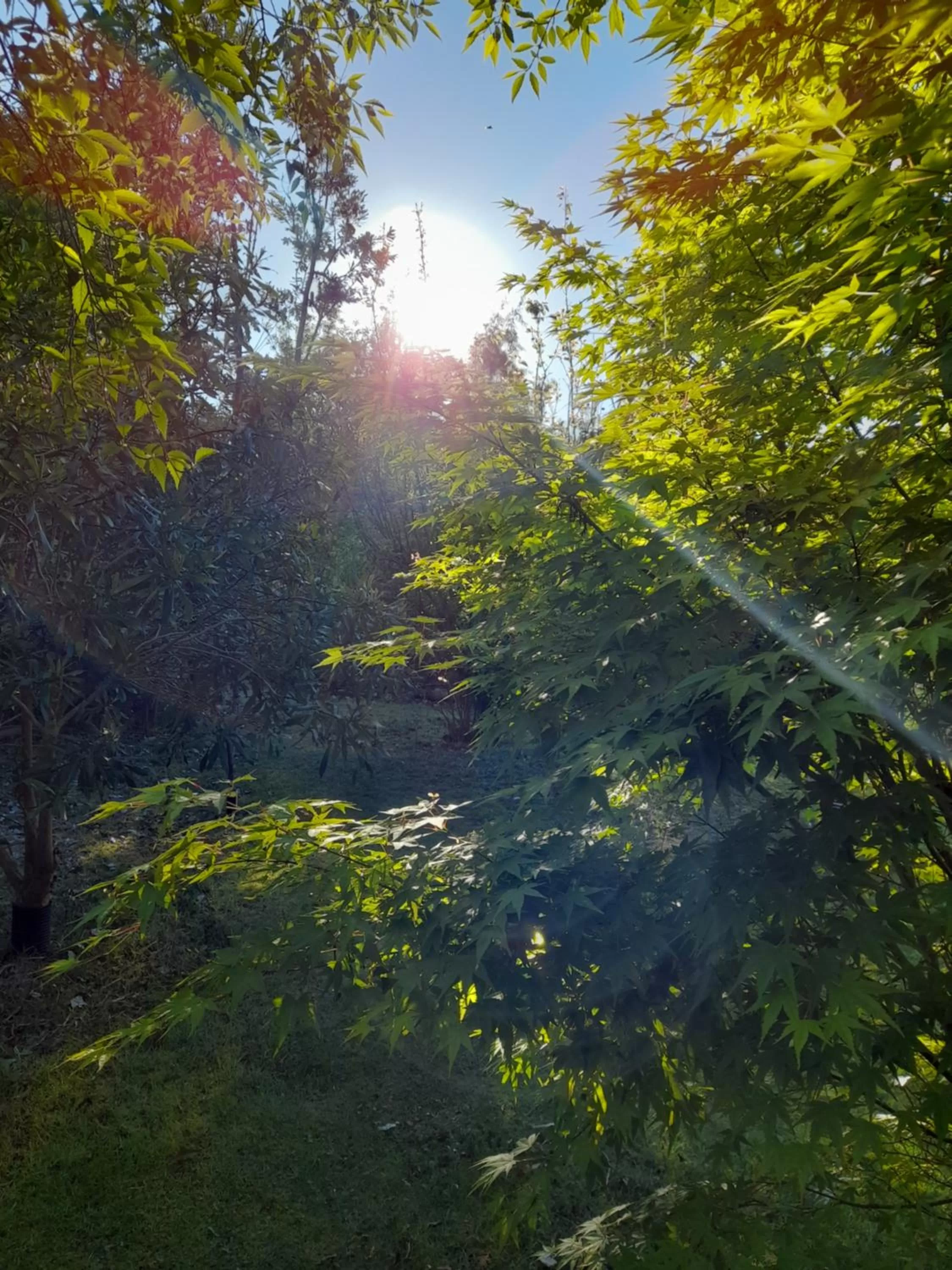 Hillside Bed and Breakfast