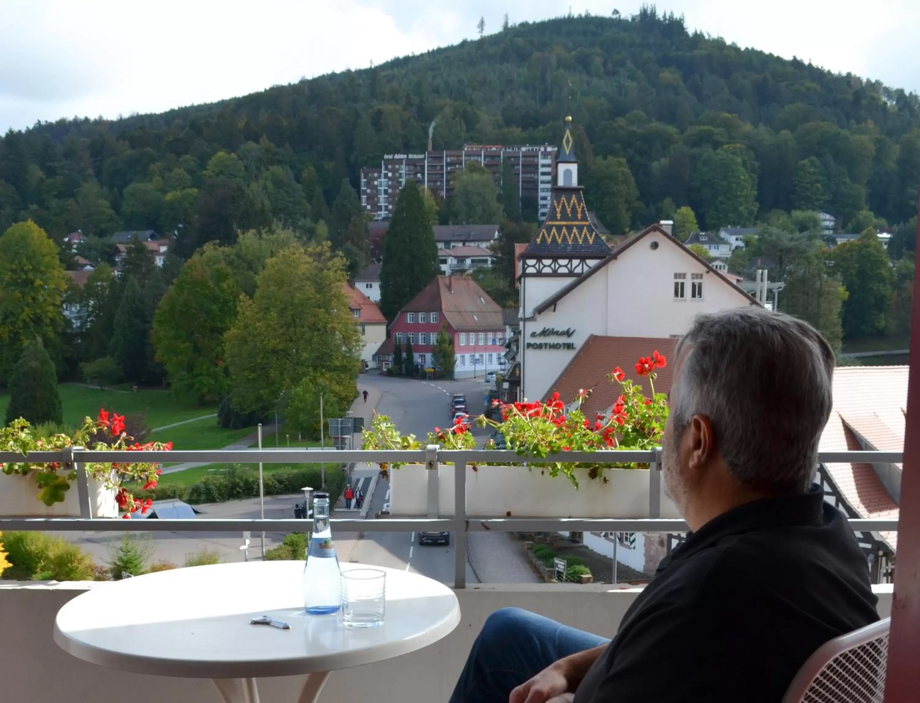 View (from property/room) in Hotel Harzer am Kurpark