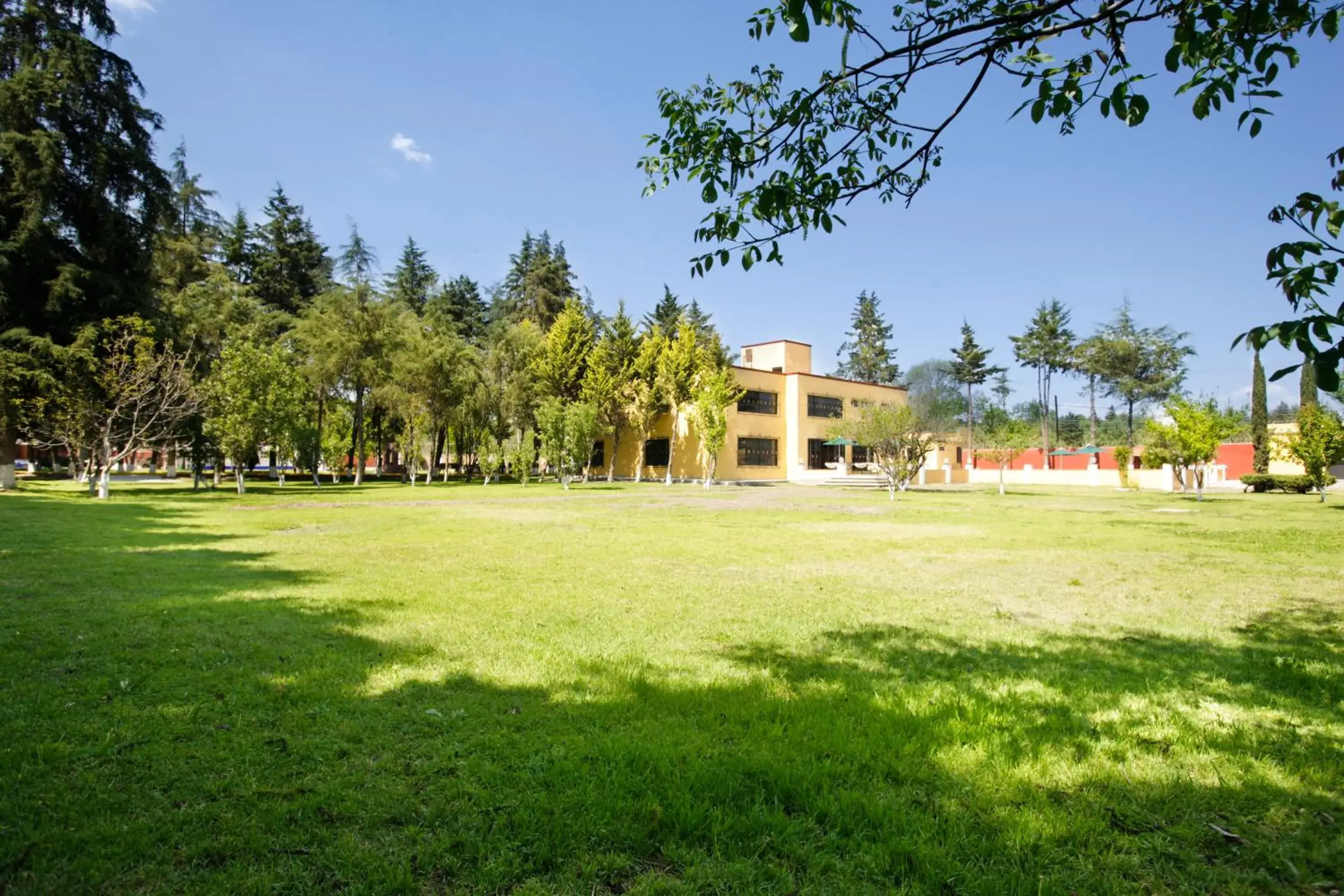 Garden, Property Building in Hotel Finca Las Hortensias