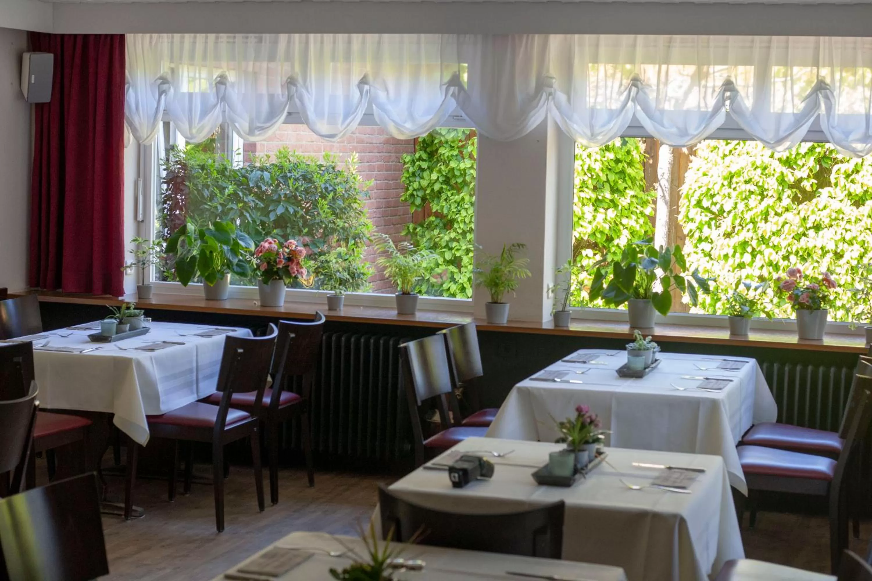 Food and drinks in Schlüter Hotel & Restaurant