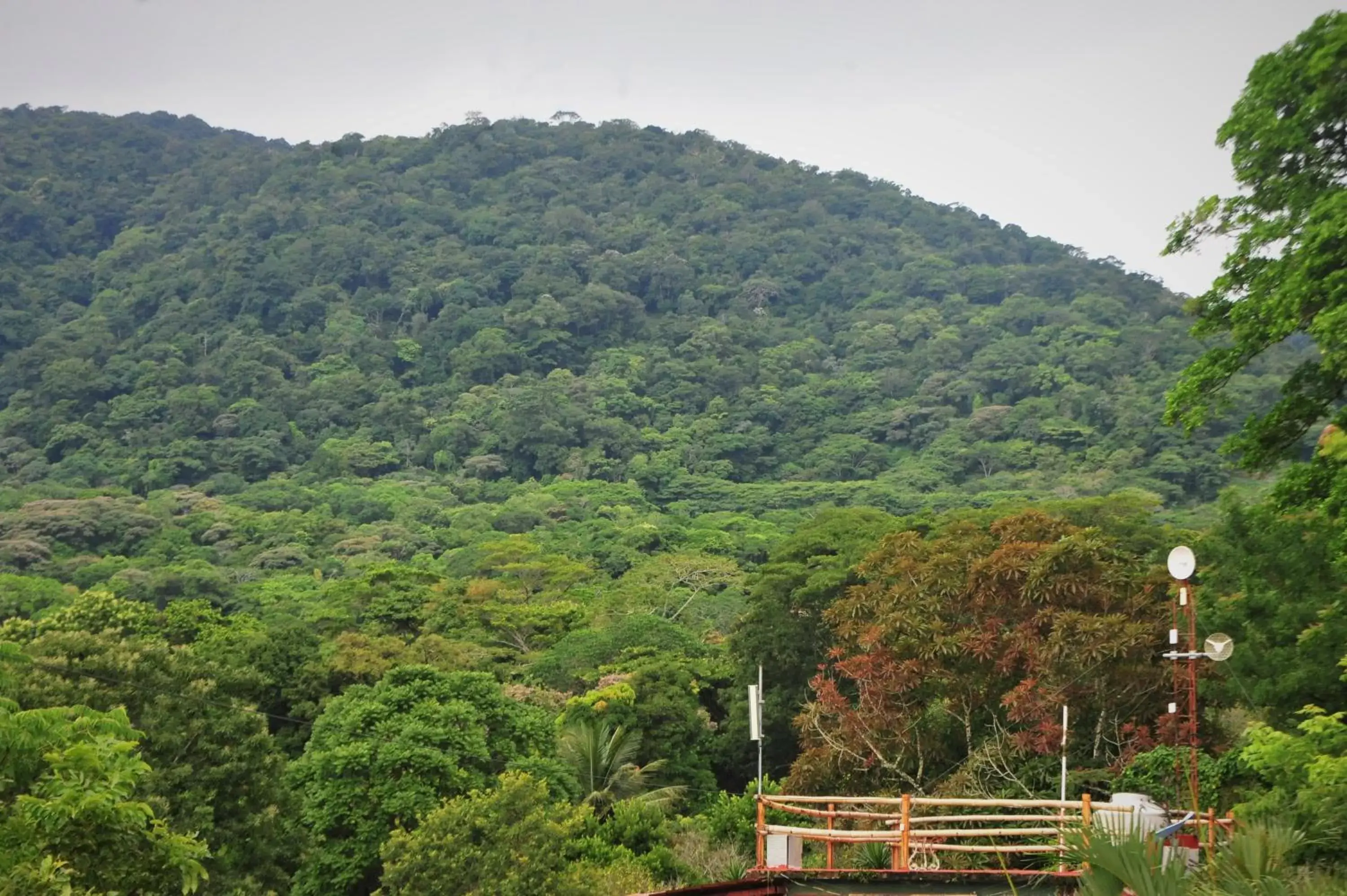 Mountain View in Ecobiosfera