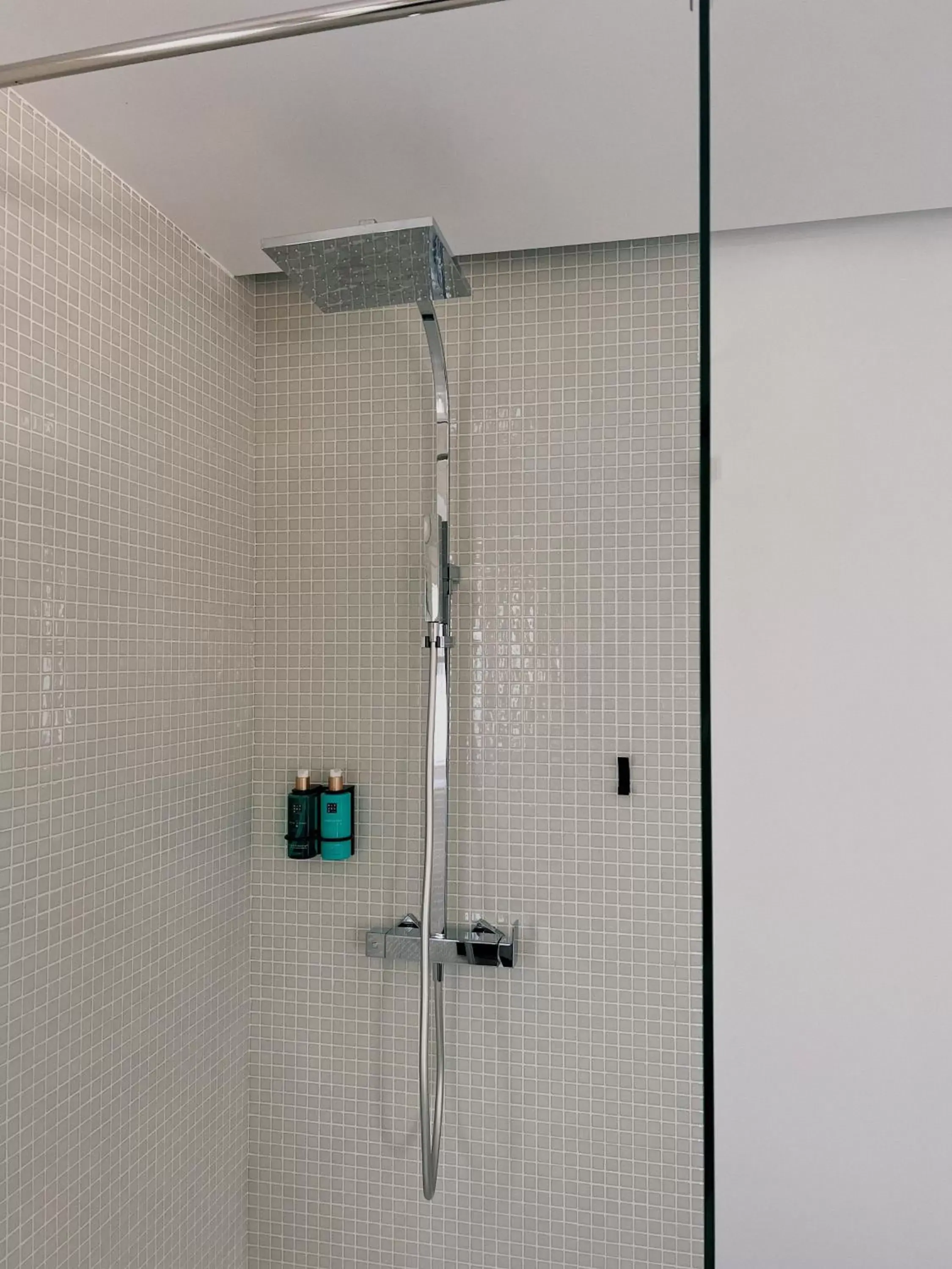 Shower, Bathroom in Luna House