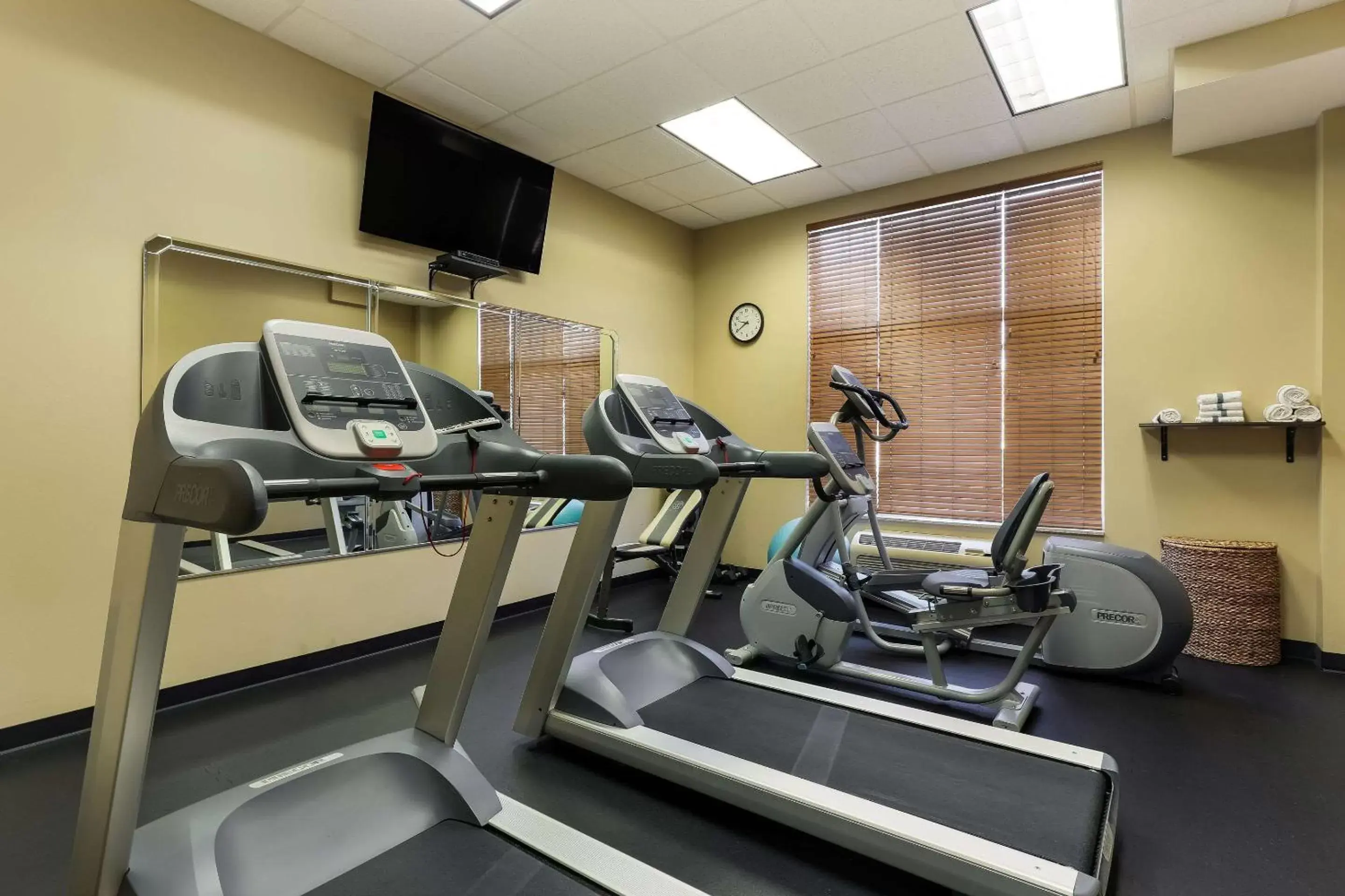 Fitness centre/facilities, Fitness Center/Facilities in MainStay Suites Fitchburg - Madison