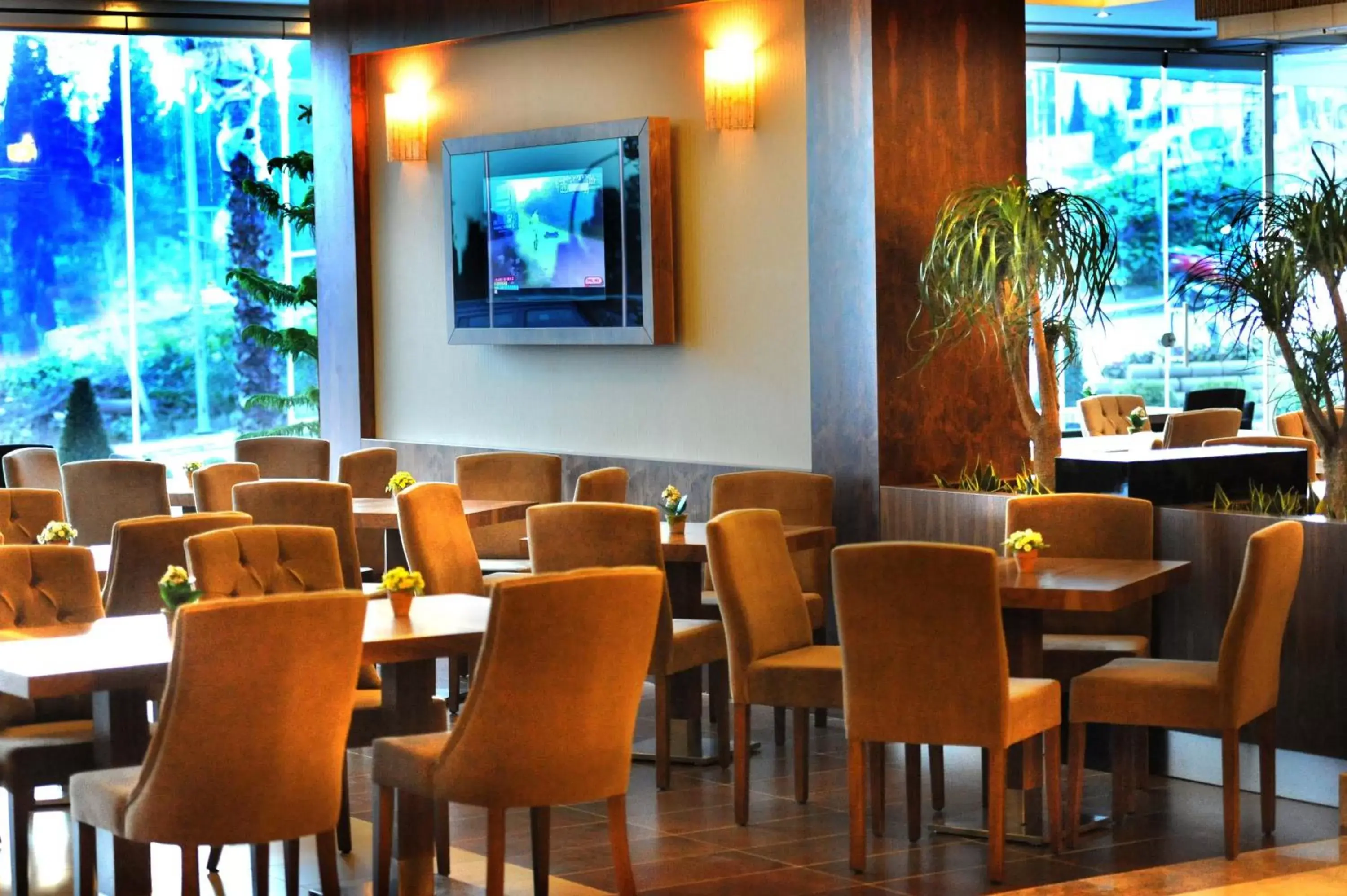 Restaurant/Places to Eat in Volley Hotel Istanbul