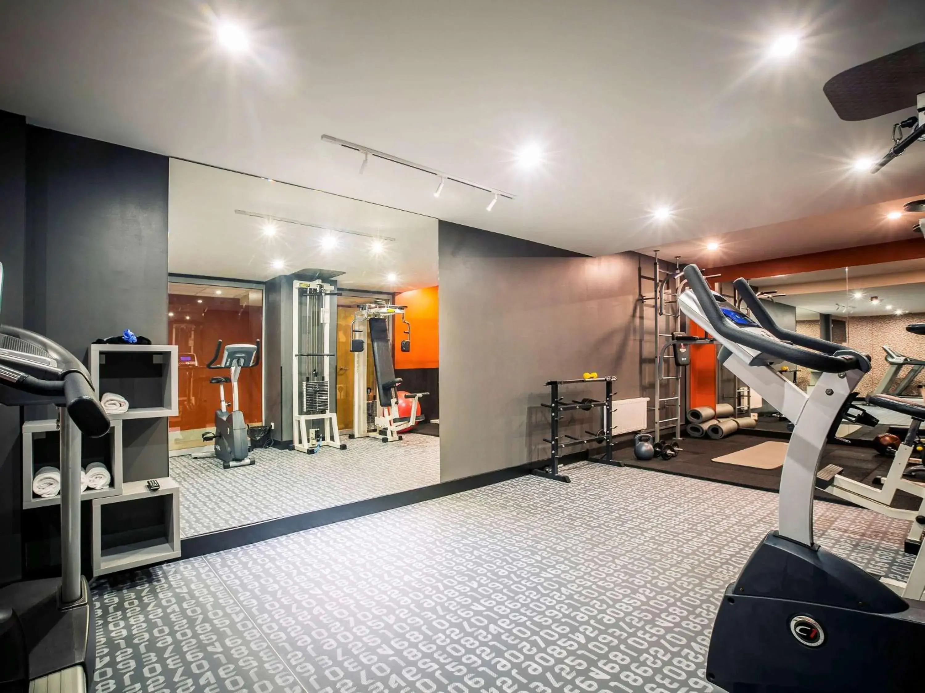 Spa and wellness centre/facilities, Fitness Center/Facilities in Mercure Riga Centre