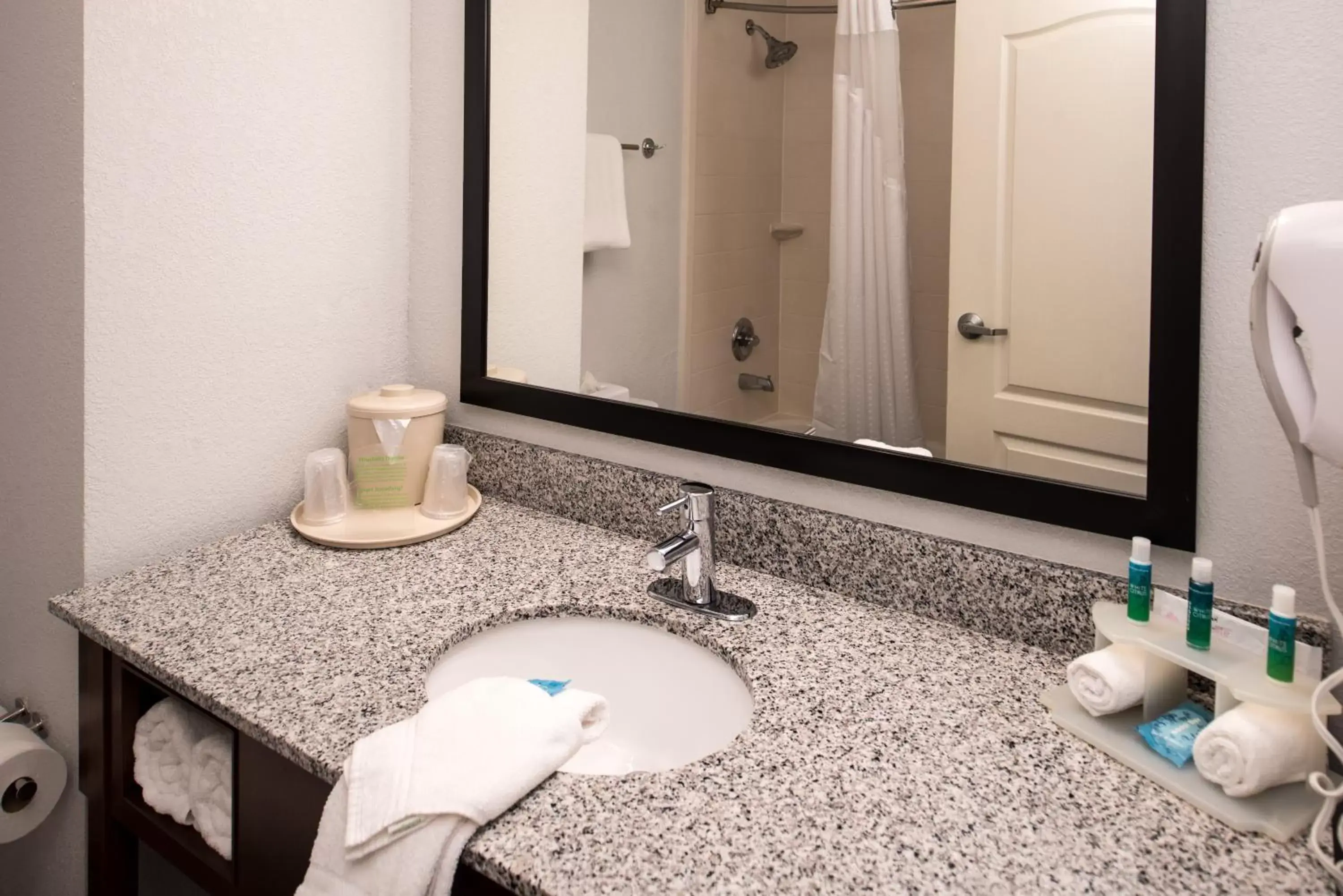 Bathroom in Holiday Inn Express & Suites Alamogordo Highway 54/70, an IHG Hotel