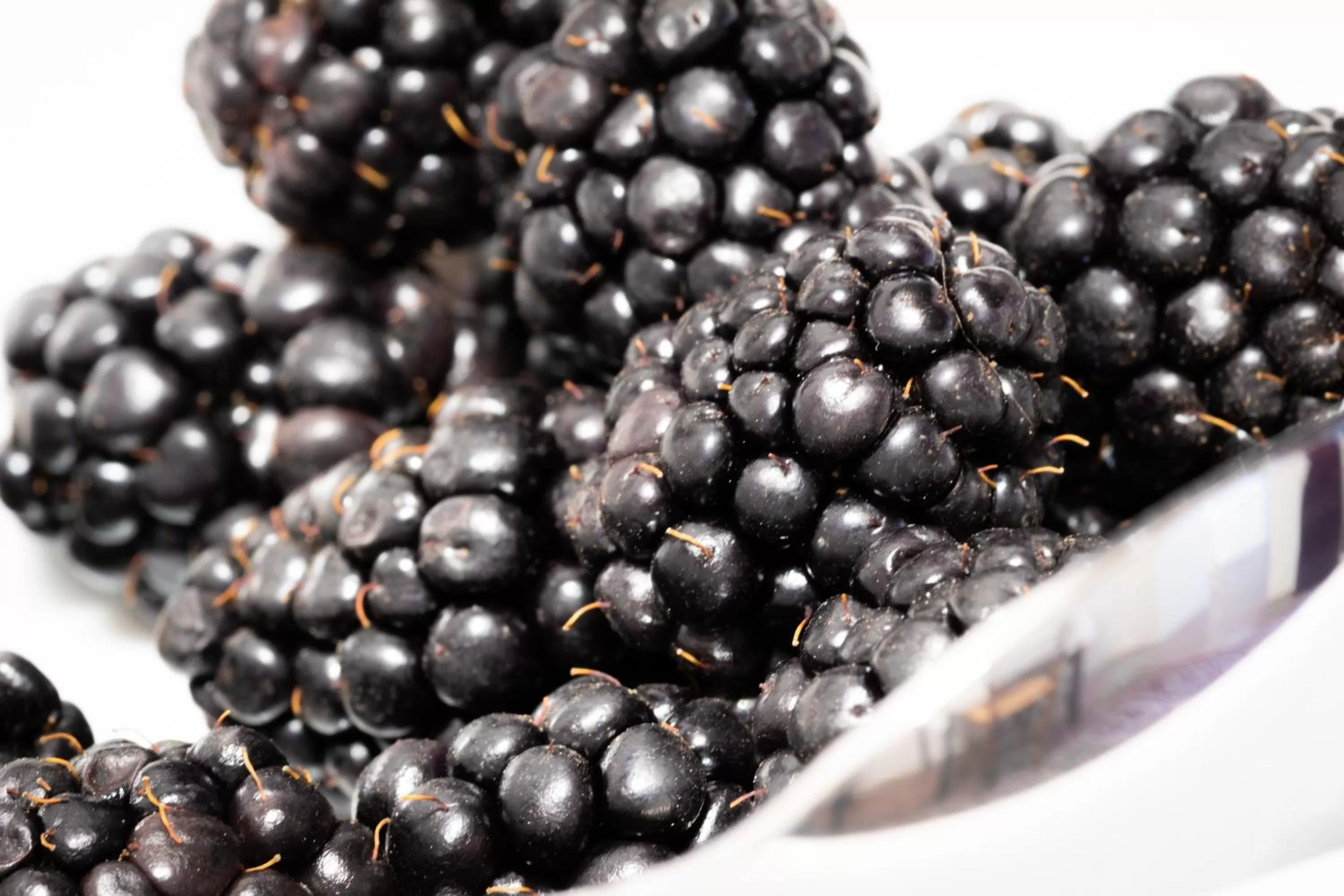 Breakfast in Il Convento Dei Fiori Di Seta