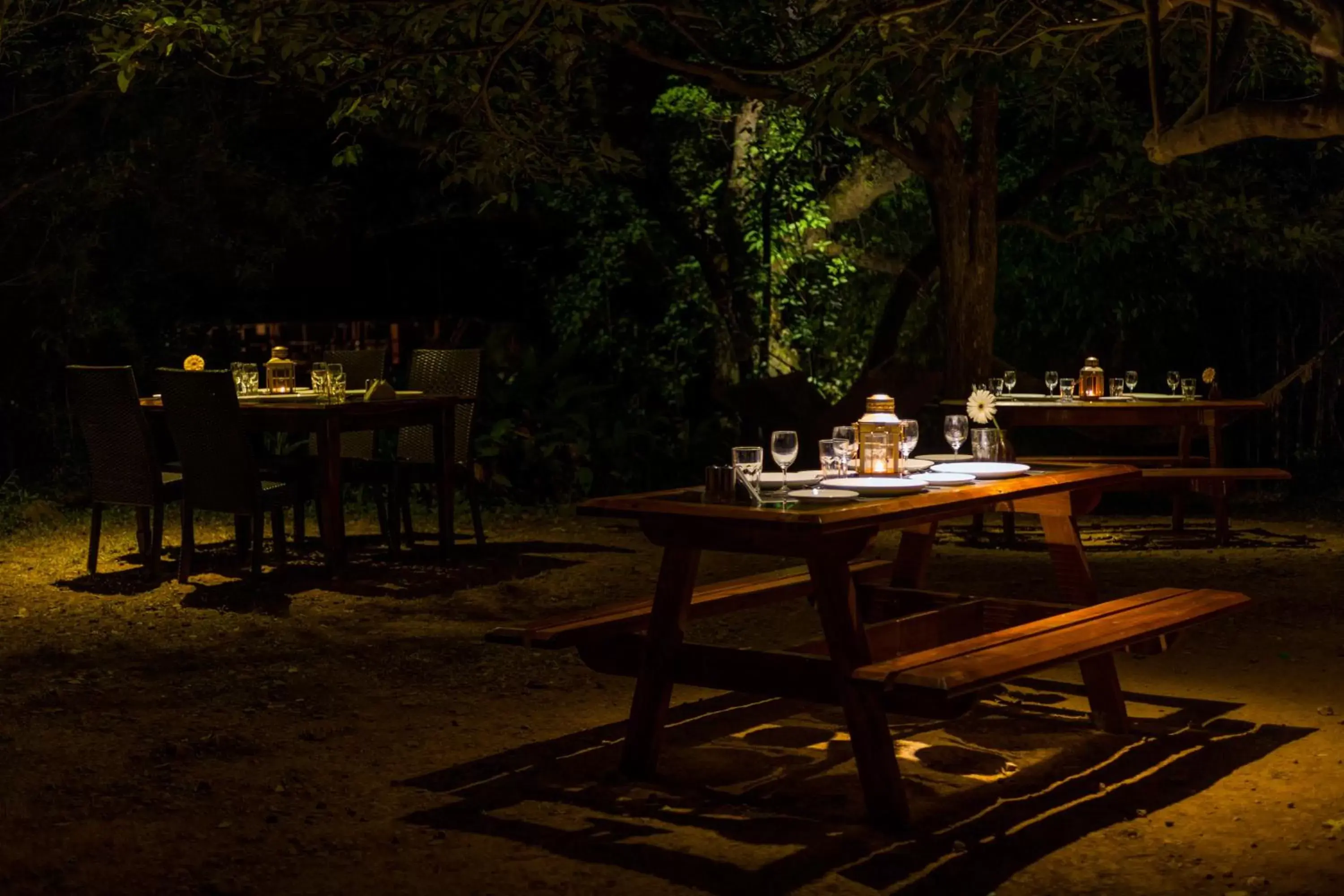 Restaurant/places to eat in The Machan Restaurant/places to eat in The Machan