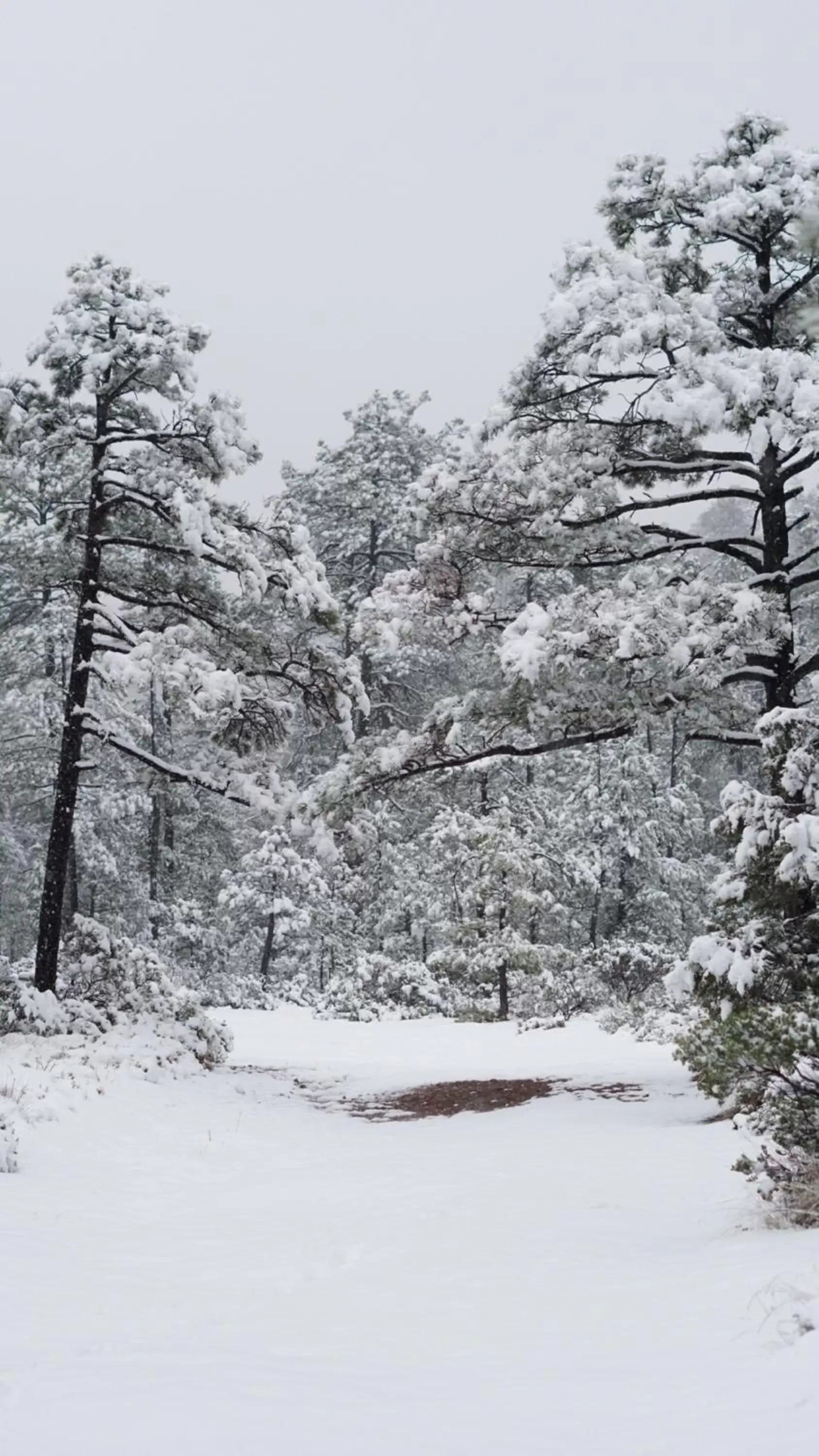 Off site, Winter in Hacienda Don Armando Boutique & Spa