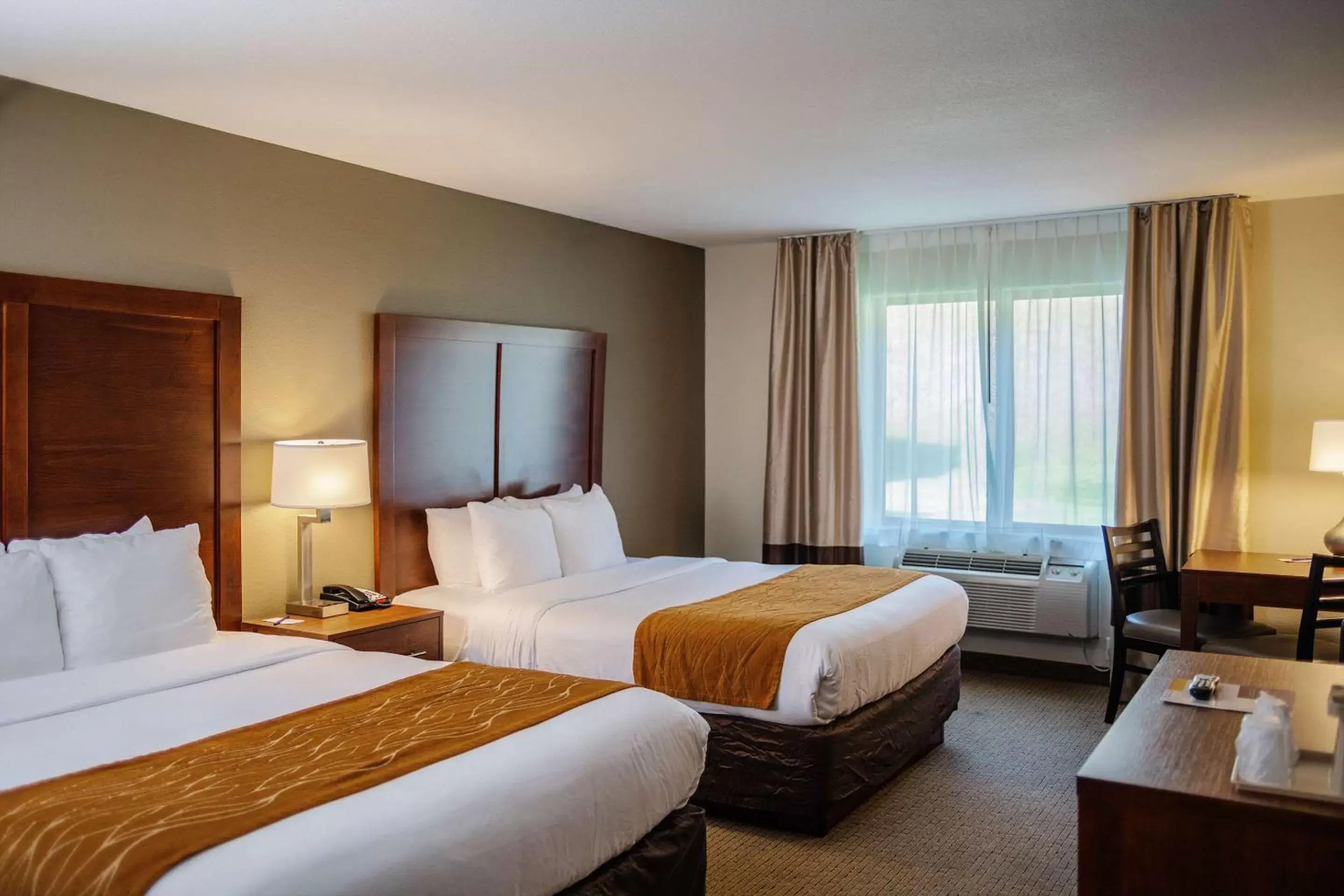 Photo of the whole room, Bed in Comfort Inn & Suites Near Custer State Park and Mt Rushmore