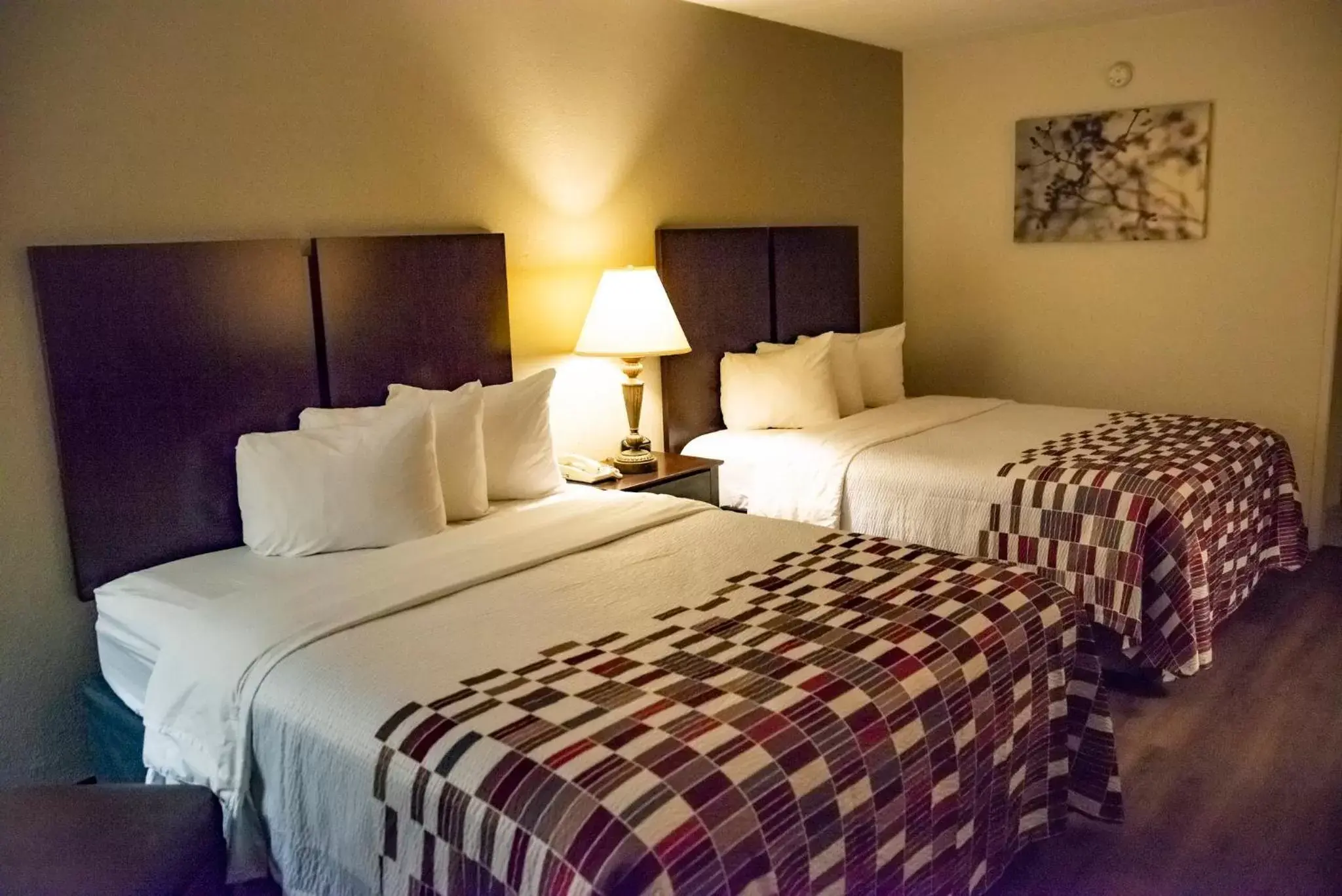 Photo of the whole room, Bed in Red Roof Inn Tallahassee East