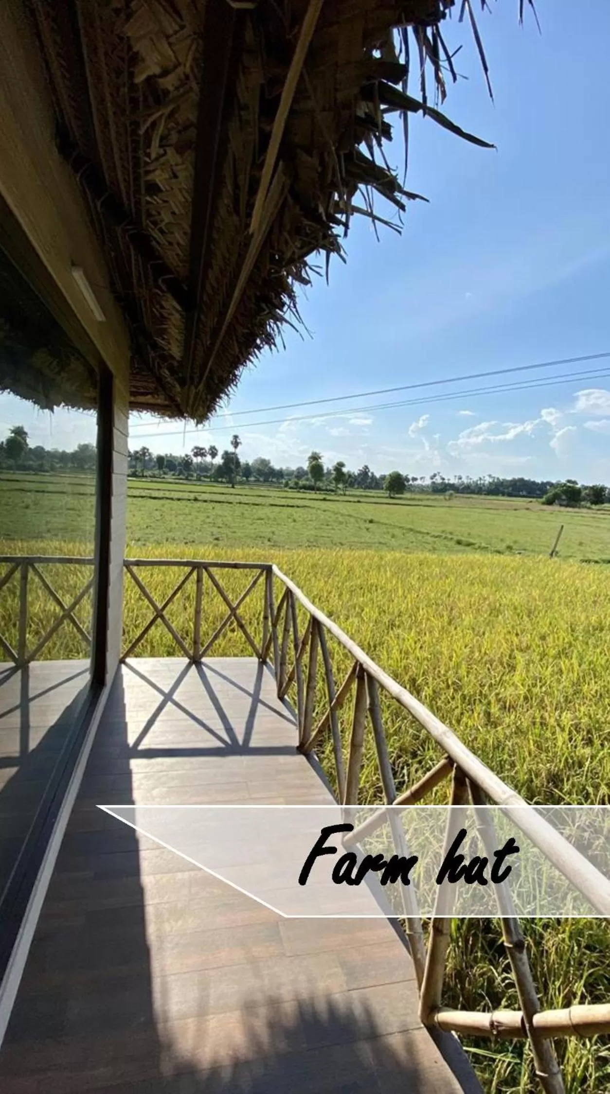 Activities in Marutham Village Resort