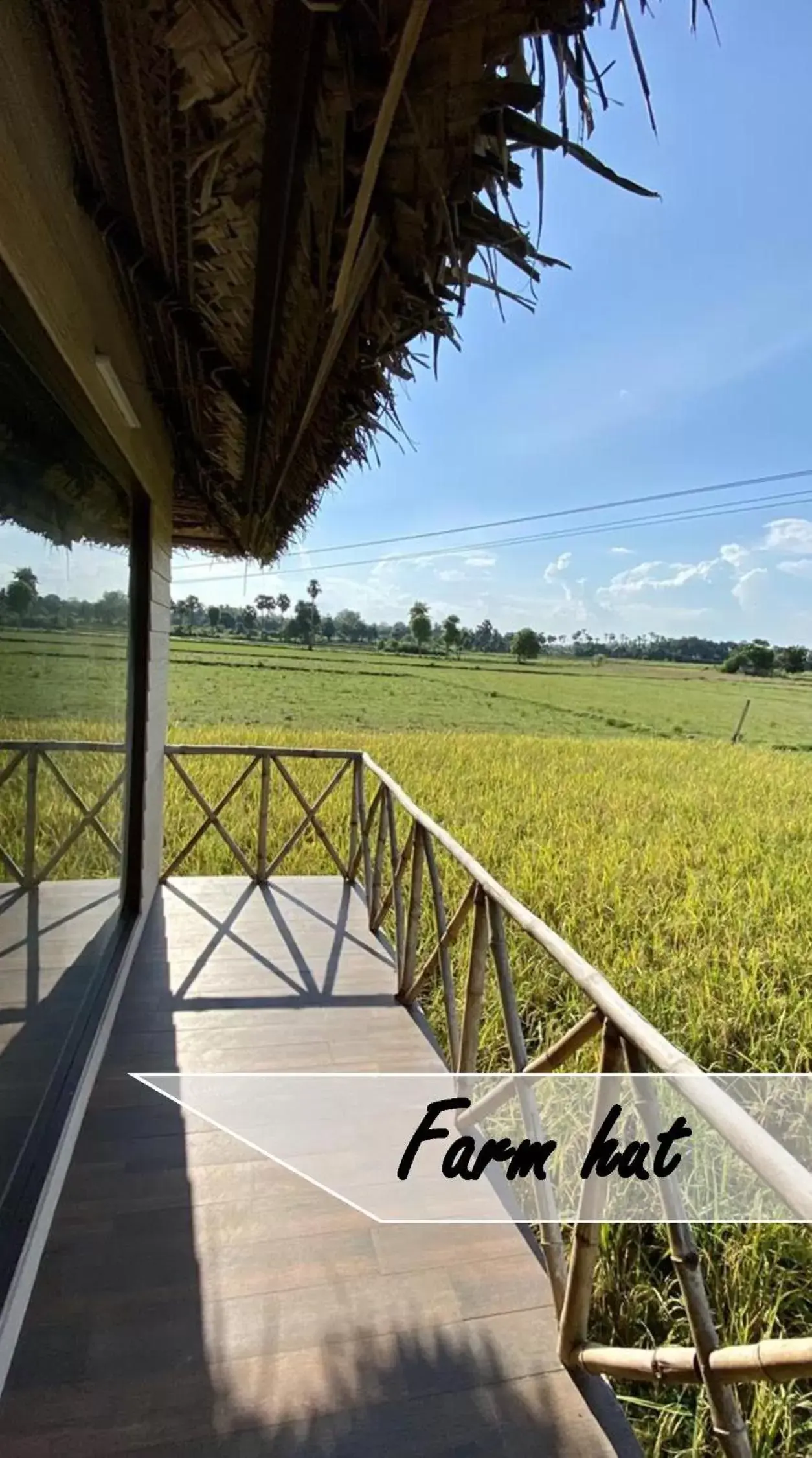 Activities in Marutham Village Resort Activities in Marutham Village Resort