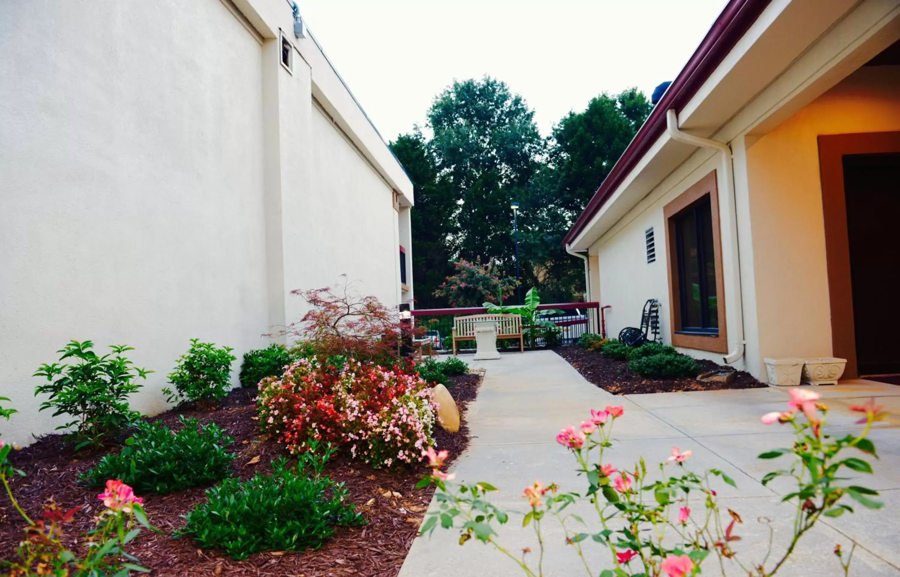 Bird's eye view, Property Building in Red Roof Inn & Suites Commerce - Athens