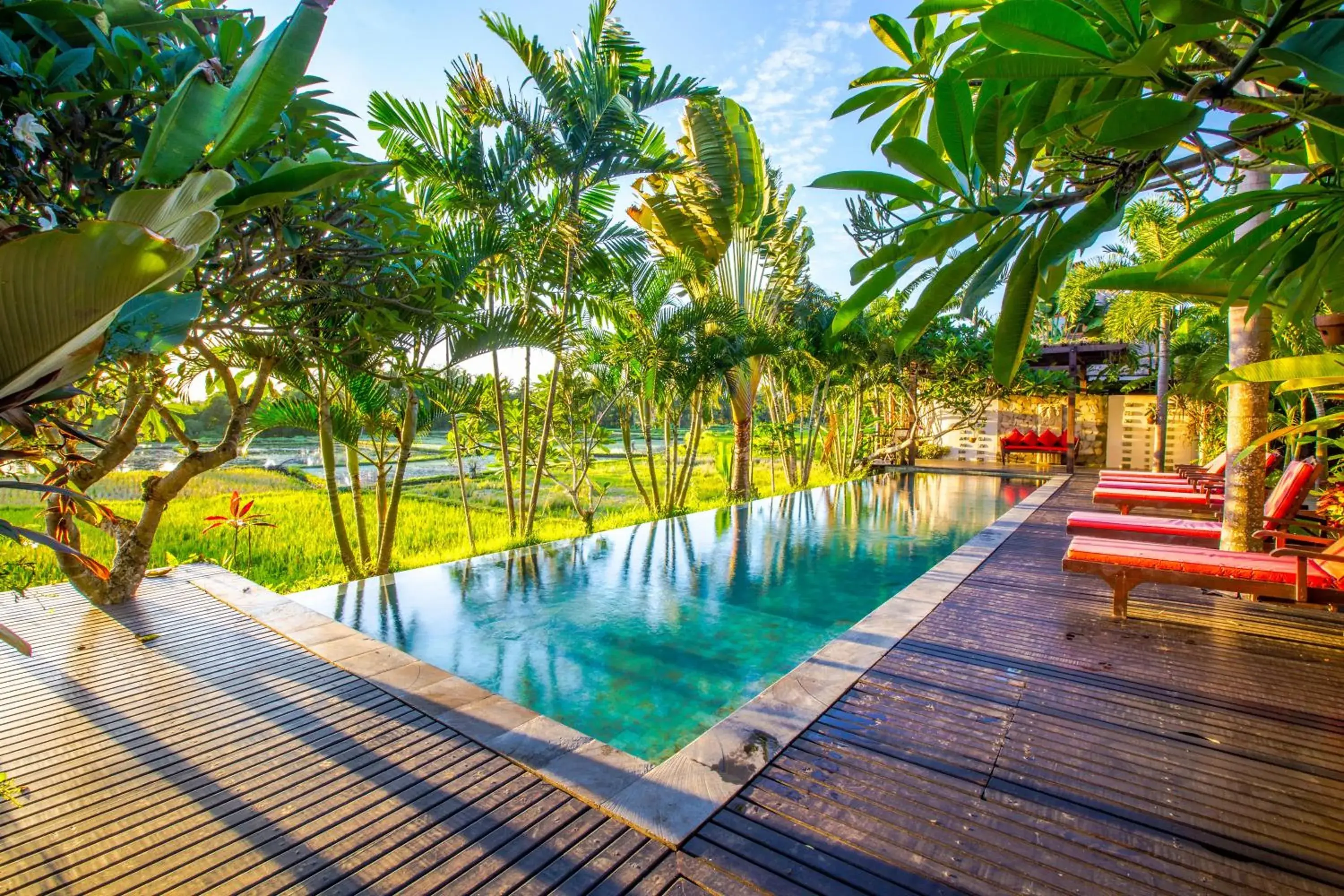 Pool view, Swimming Pool in Bali Harmony Villa